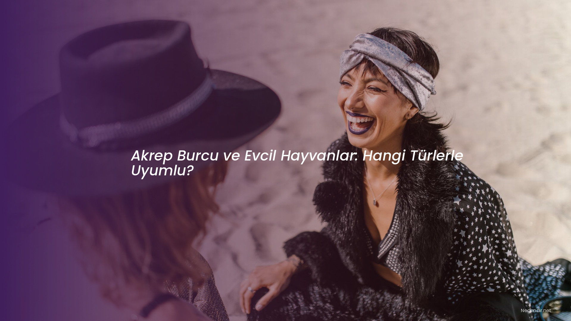 Akrep Burcu ve Evcil Hayvanlar: Hangi Türlerle Uyumlu? Akrep Burcu ve Evcil Hayvanlar: Hangi Türlerle Uyumlu?