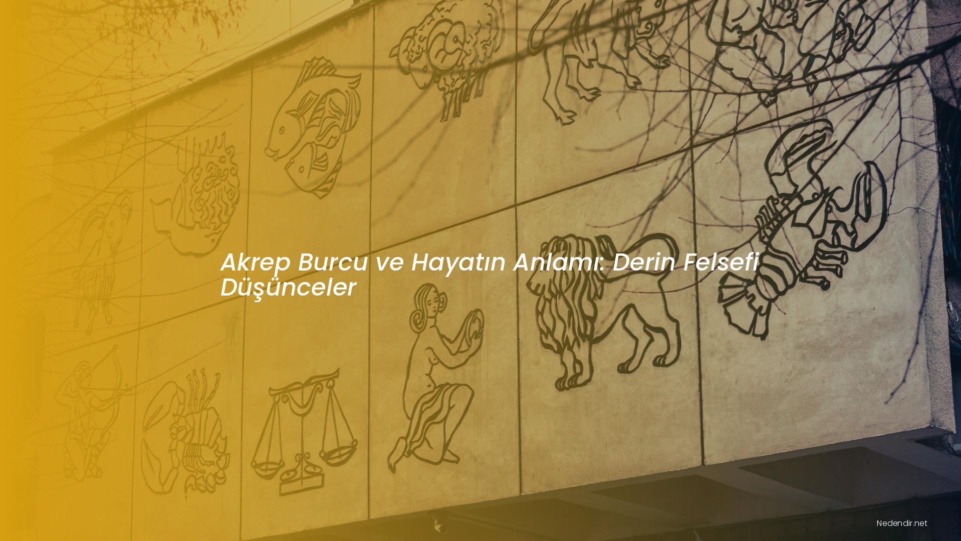 Akrep Burcu ve Hayatın Anlamı: Derin Felsefi Düşünceler Akrep Burcu ve Hayatın Anlamı: Derin Felsefi Düşünceler