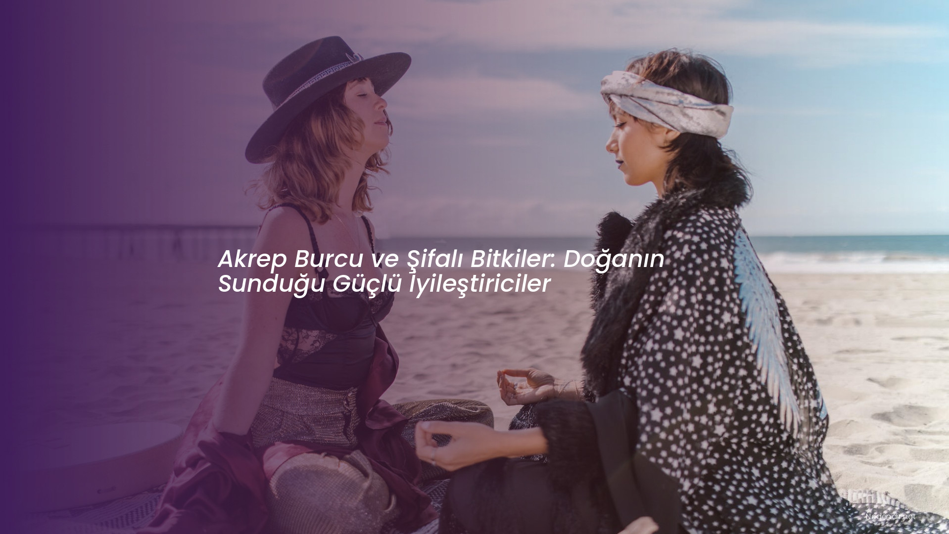 Akrep Burcu ve Şifalı Bitkiler: Doğanın Sunduğu Güçlü İyileştiriciler Akrep Burcu ve Şifalı Bitkiler: Doğanın Sunduğu Güçlü İyileştiriciler