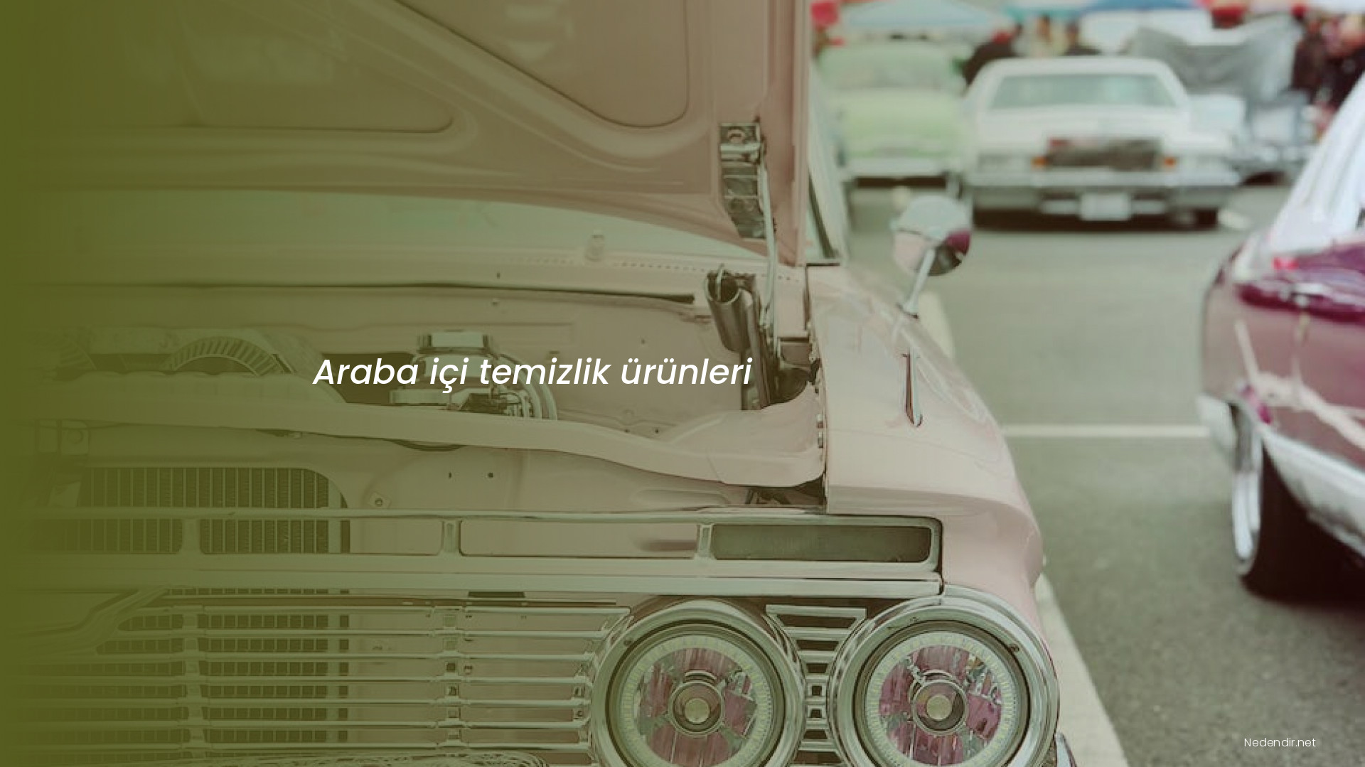 Araba içi temizlik ürünleri