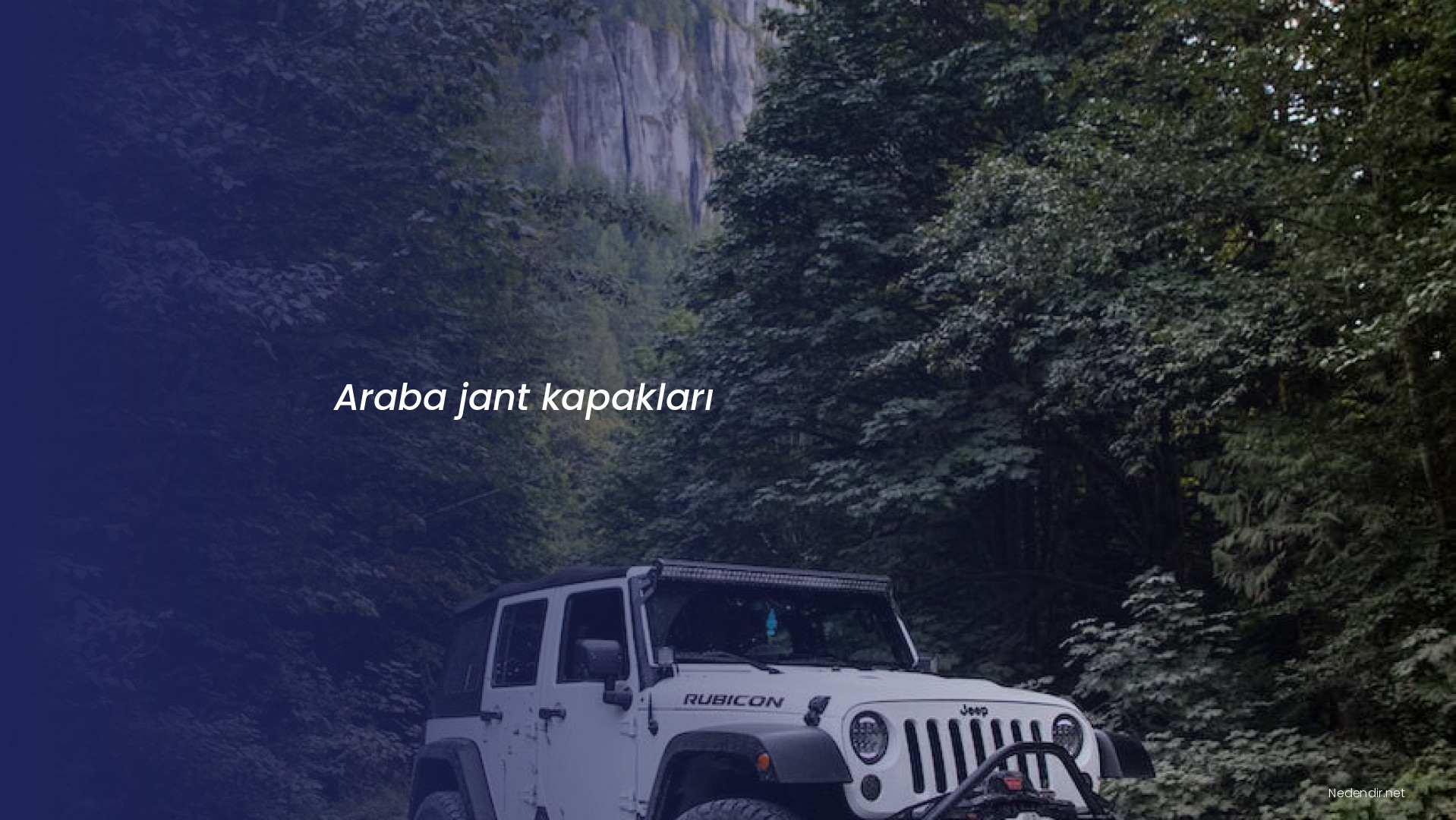 Araba jant kapakları