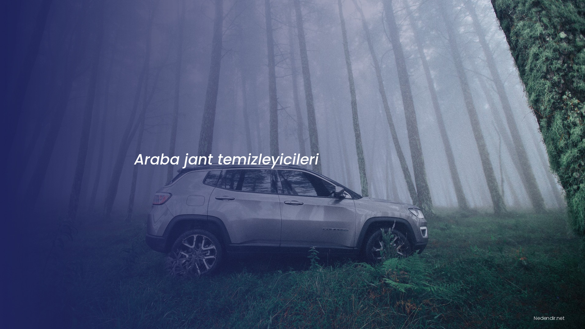 Araba jant temizleyicileri