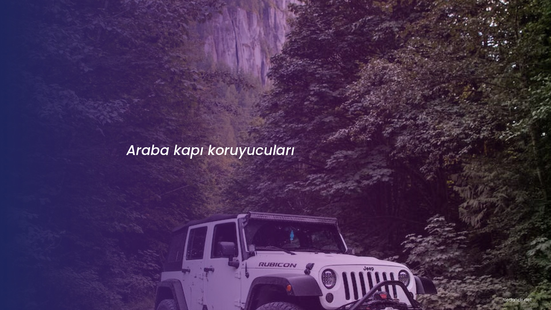 Araba kapı koruyucuları Araba kapı koruyucuları