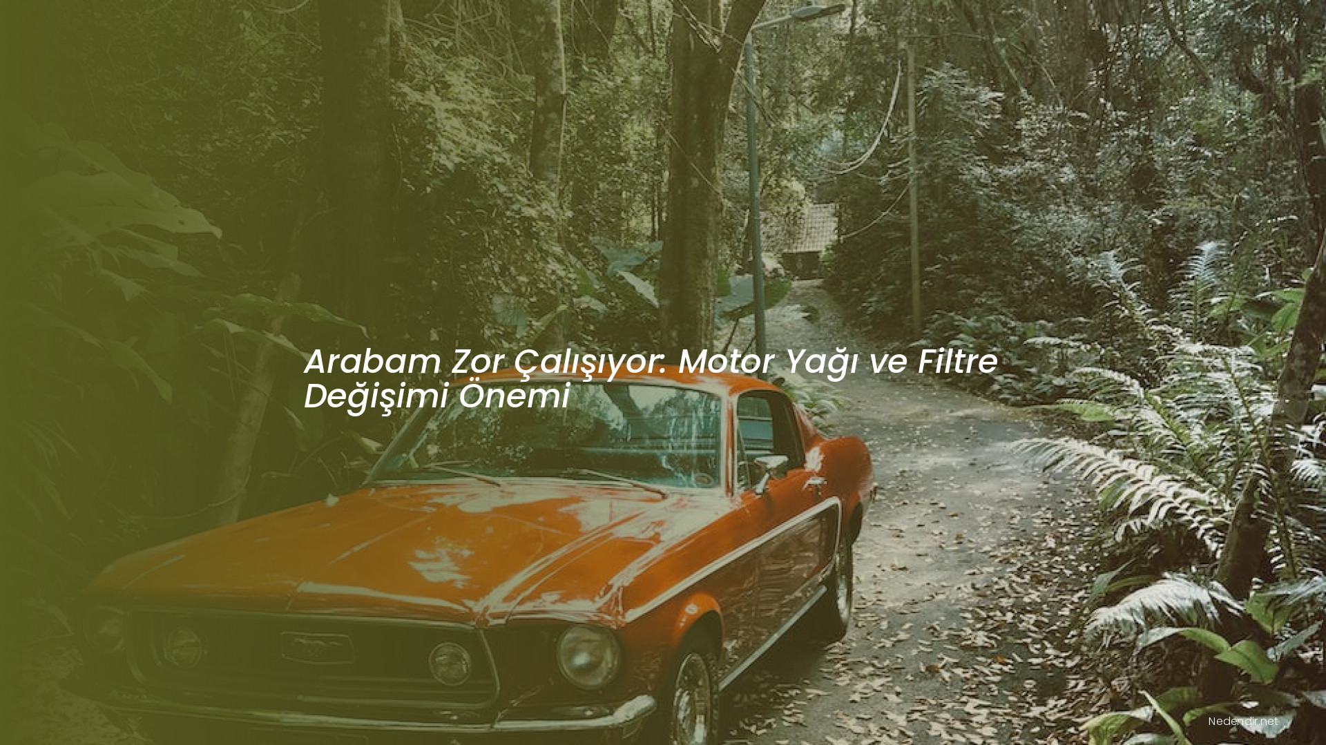 Arabam Zor Çalışıyor: Motor Yağı ve Filtre Değişimi Önemi