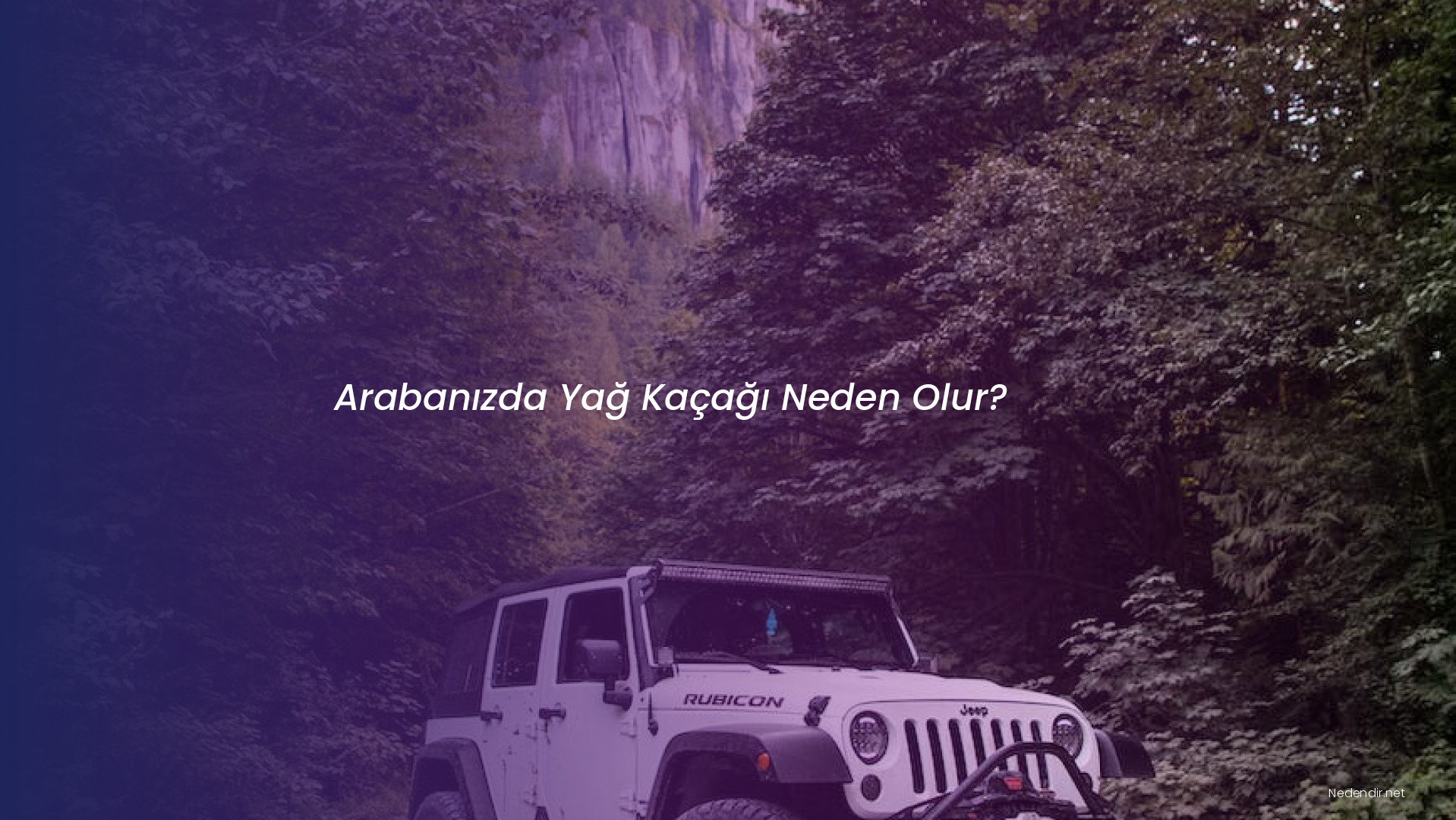 Arabanızda Yağ Kaçağı Neden Olur?