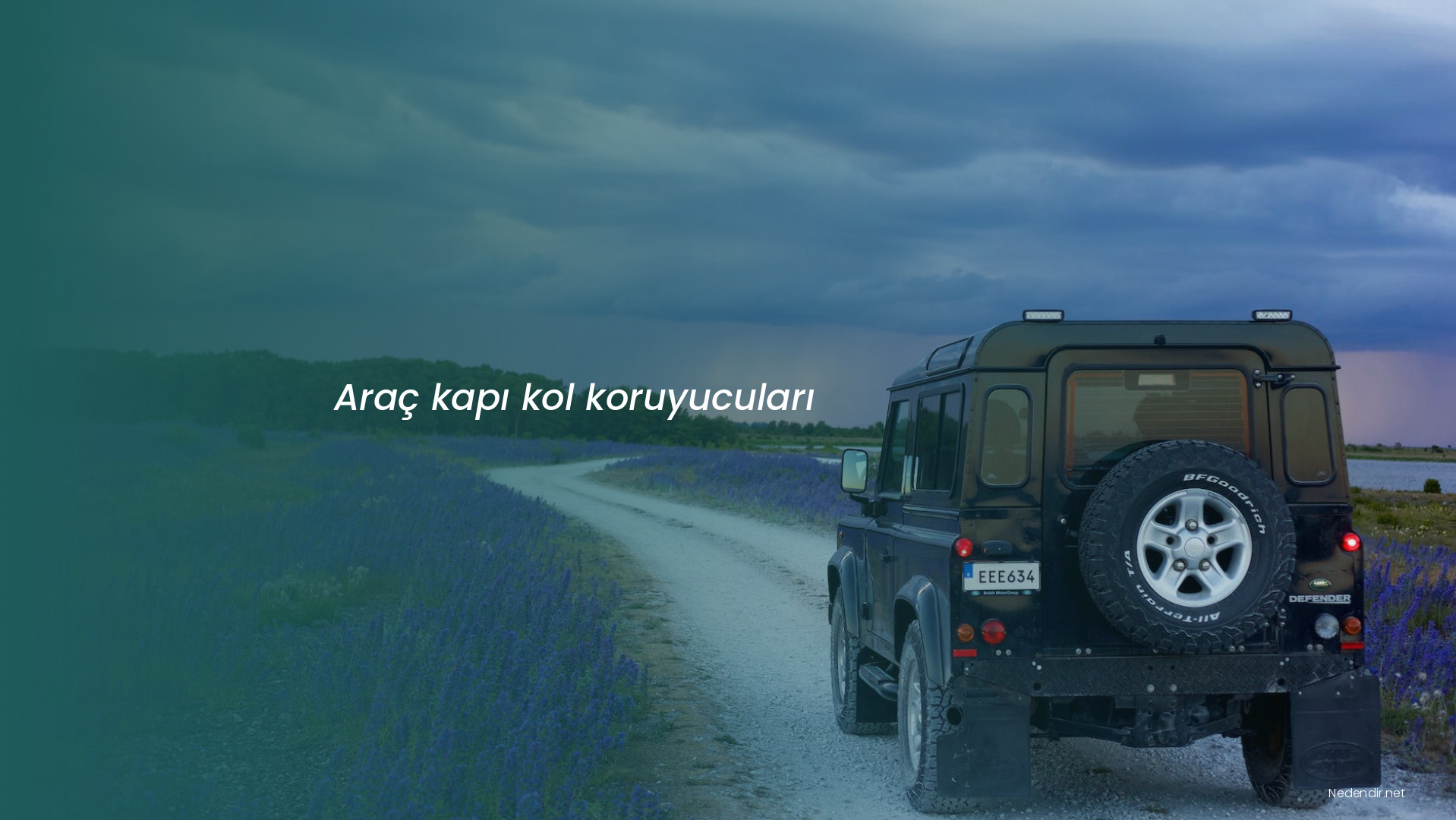 Araç kapı kol koruyucuları