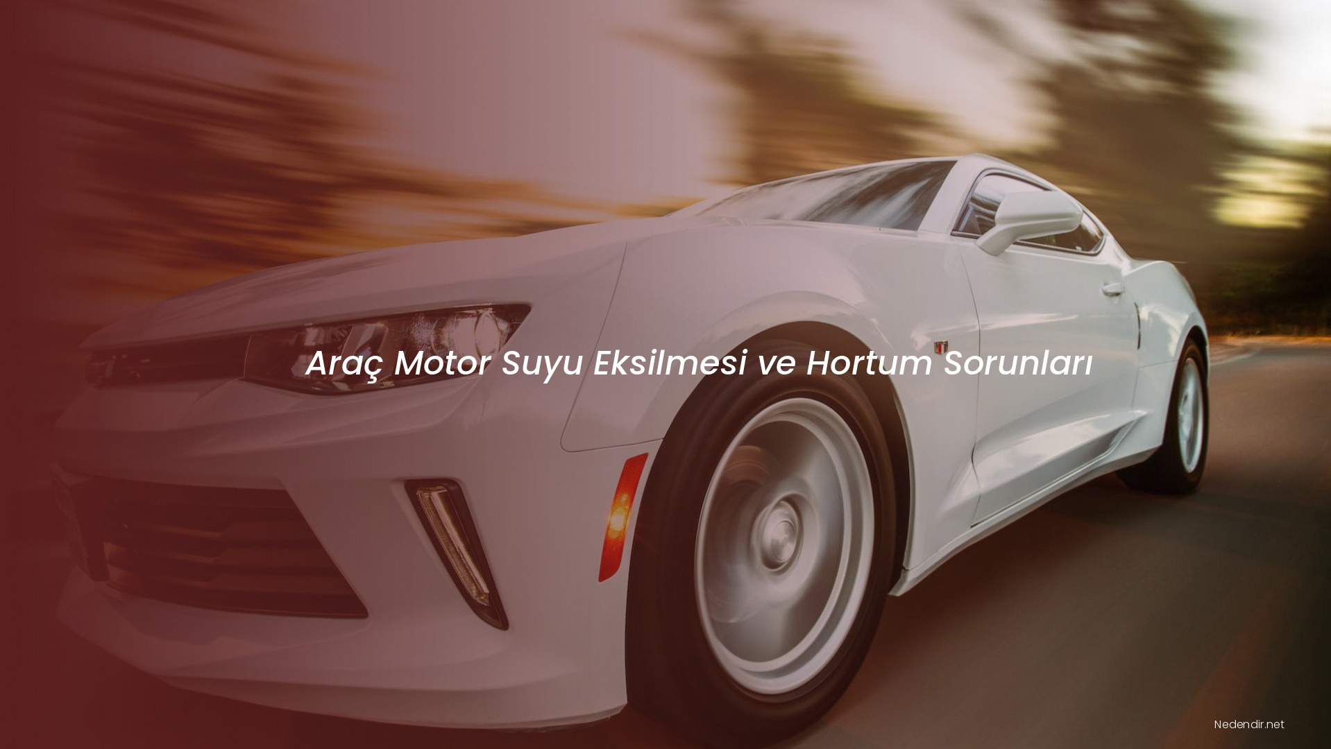 Araç Motor Suyu Eksilmesi ve Hortum Sorunları Araç Motor Suyu Eksilmesi ve Hortum Sorunları