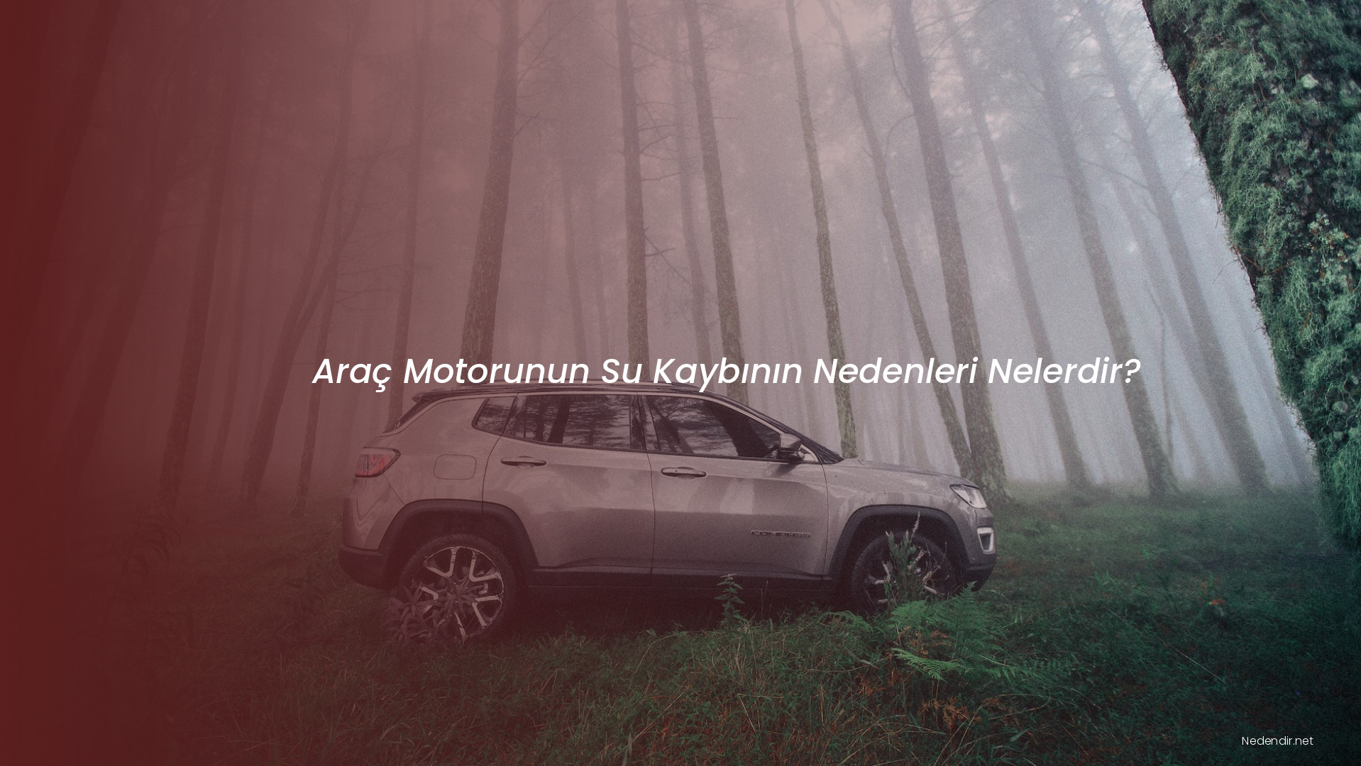 Araç Motorunun Su Kaybının Nedenleri Nelerdir?