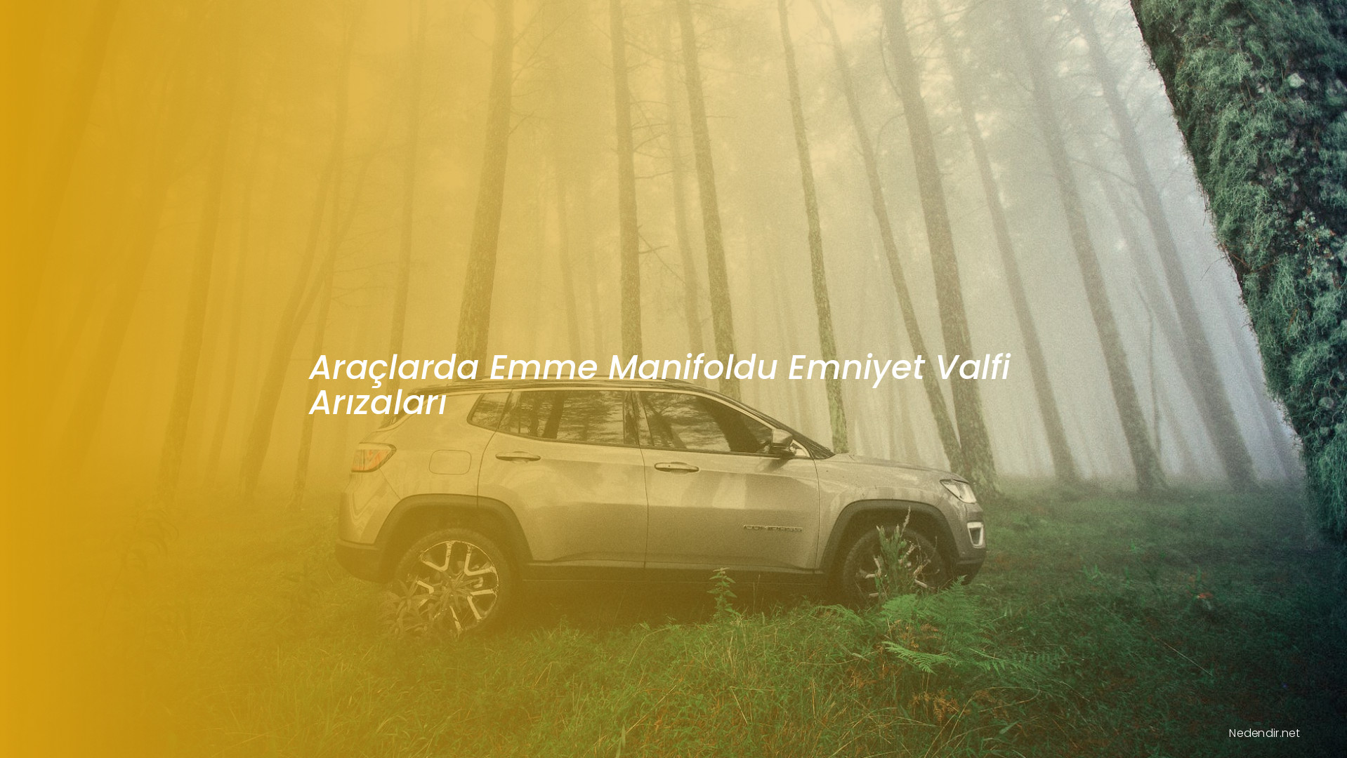 Araçlarda Emme Manifoldu Emniyet Valfi Arızaları