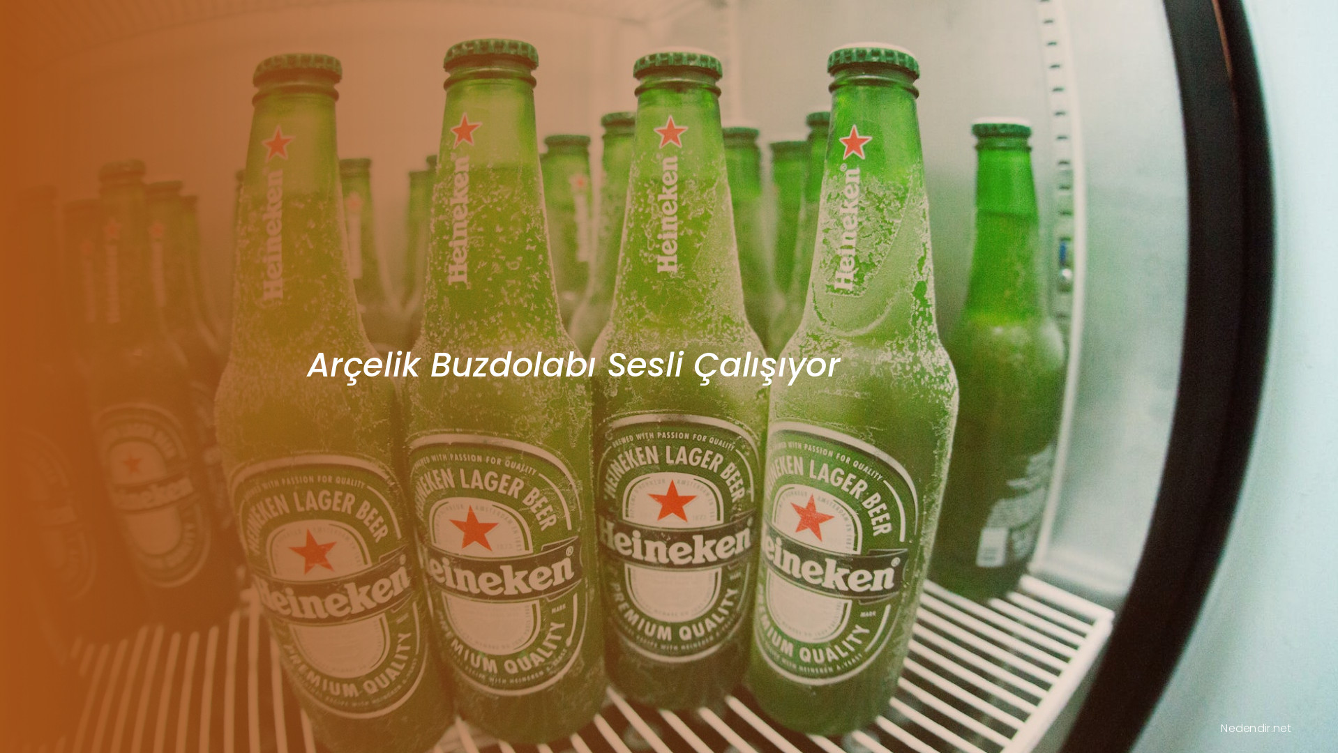Arçelik Buzdolabı Sesli Çalışıyor