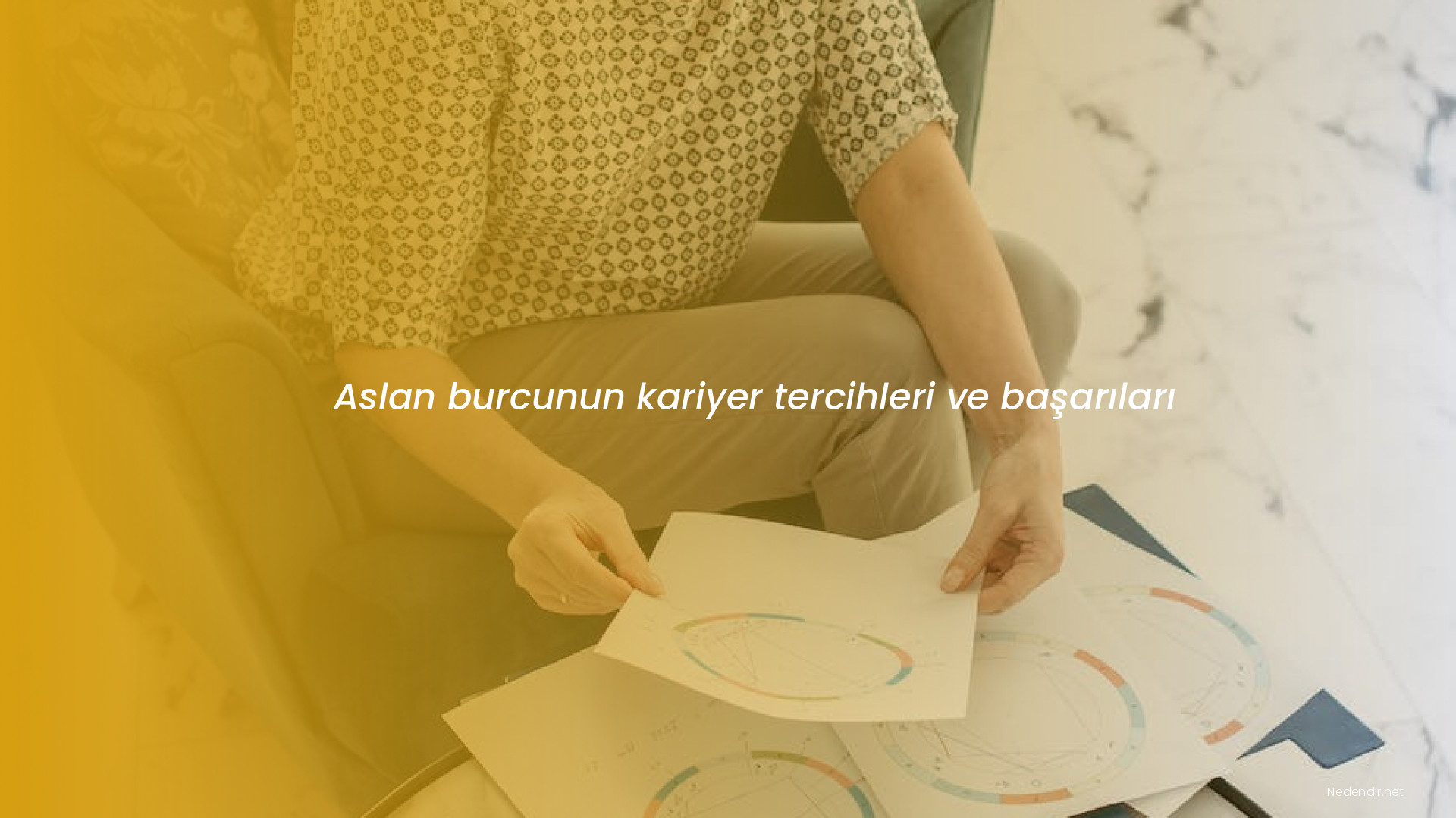 Aslan burcunun kariyer tercihleri ve başarıları