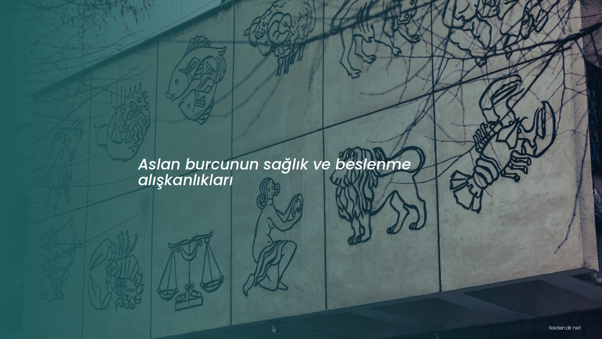 Aslan burcunun sağlık ve beslenme alışkanlıkları