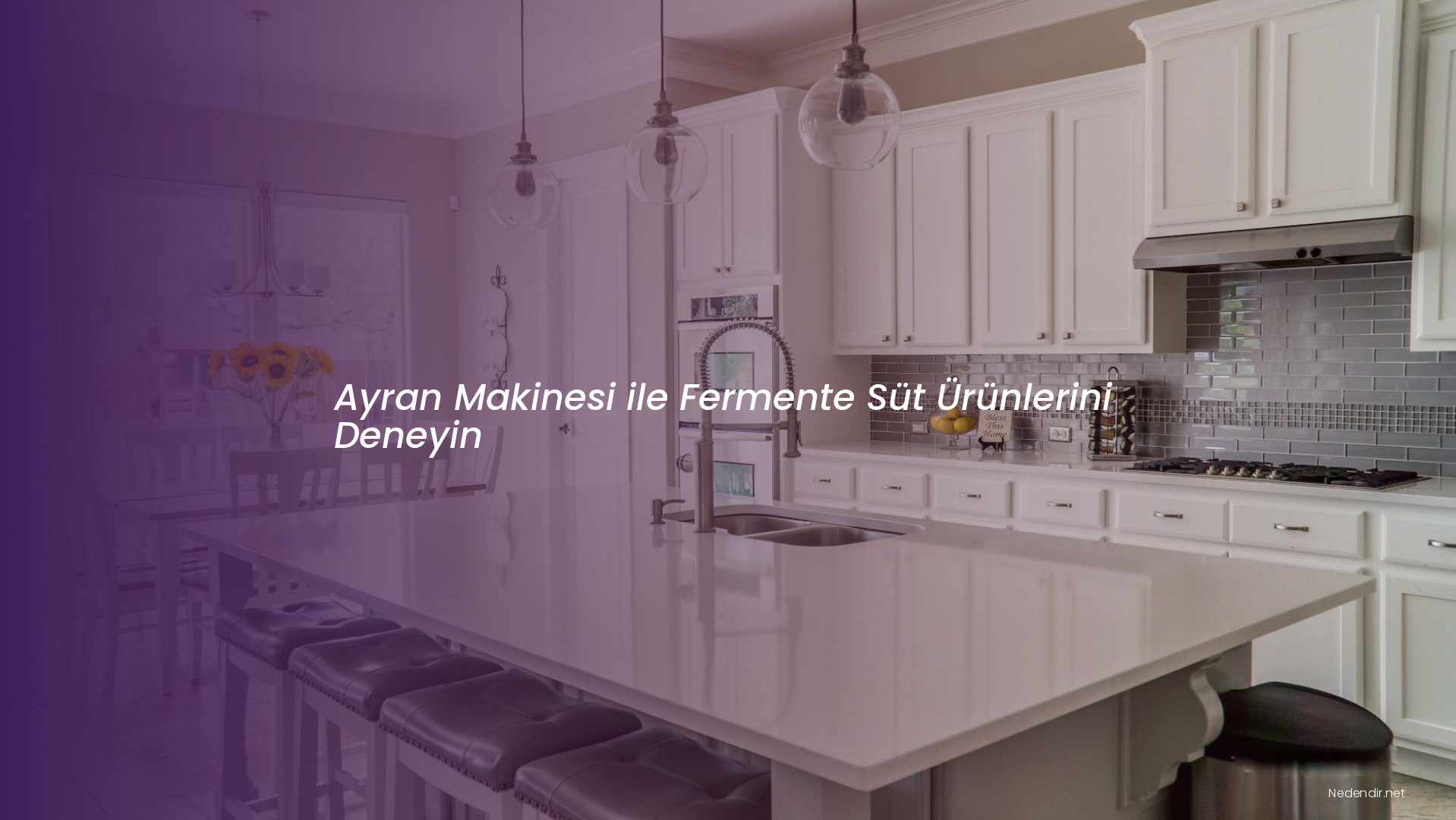 Ayran Makinesi ile Fermente Süt Ürünlerini Deneyin