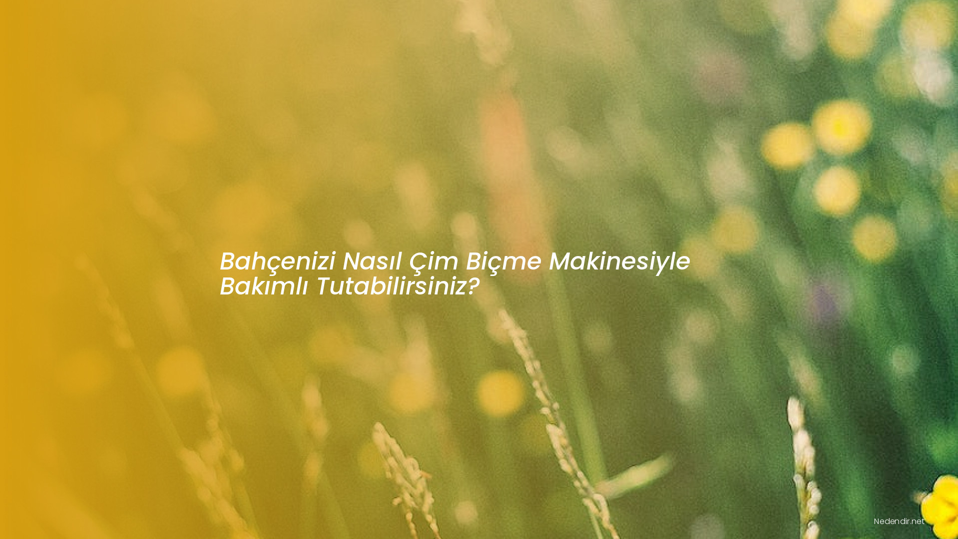 Bahçenizi Nasıl Çim Biçme Makinesiyle Bakımlı Tutabilirsiniz?