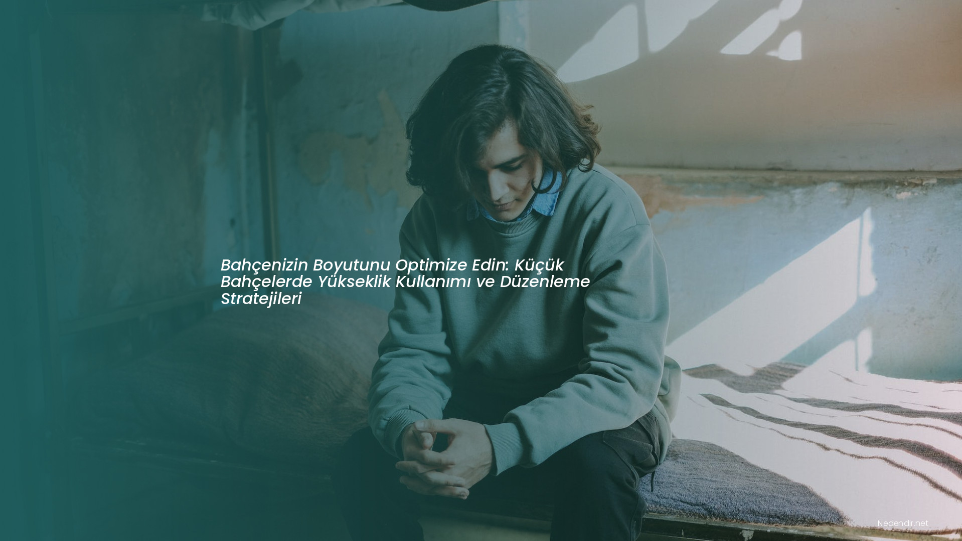 Bahçenizin Boyutunu Optimize Edin: Küçük Bahçelerde Yükseklik Kullanımı ve Düzenleme Stratejileri