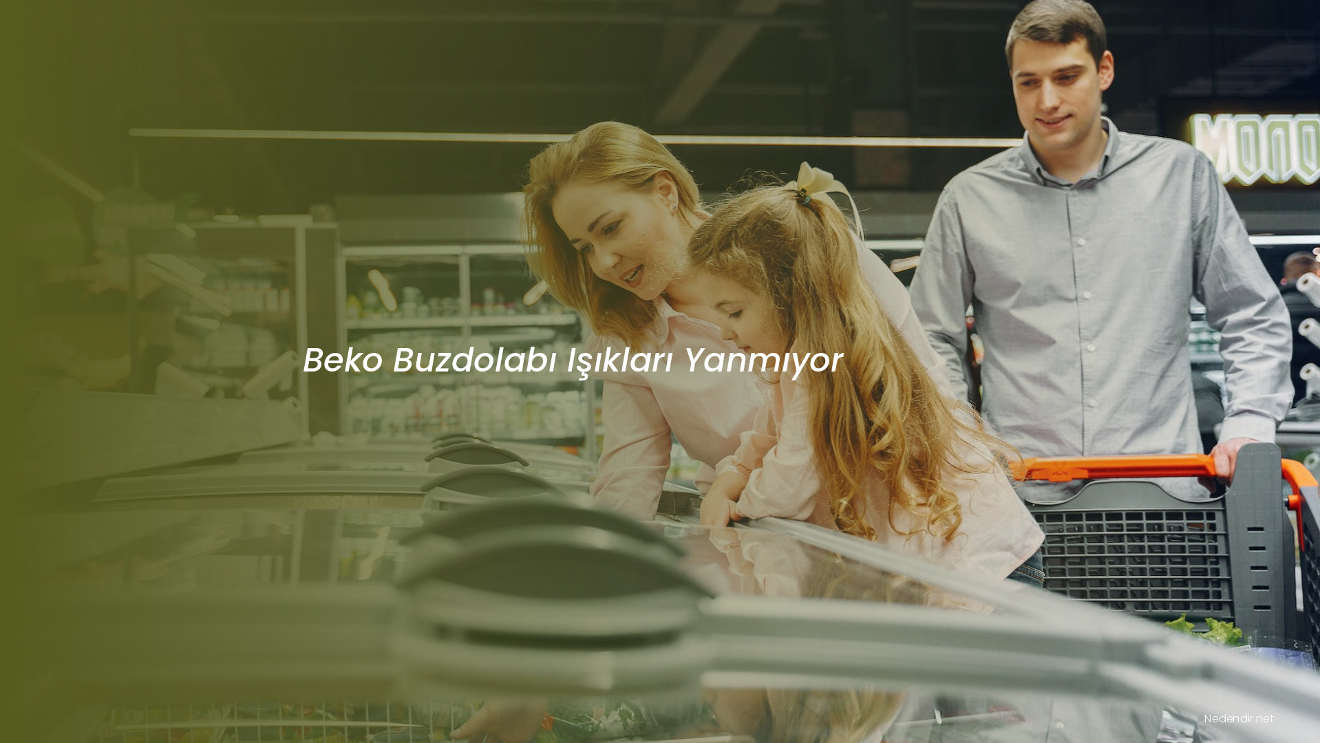 Beko Buzdolabı Işıkları Yanmıyor