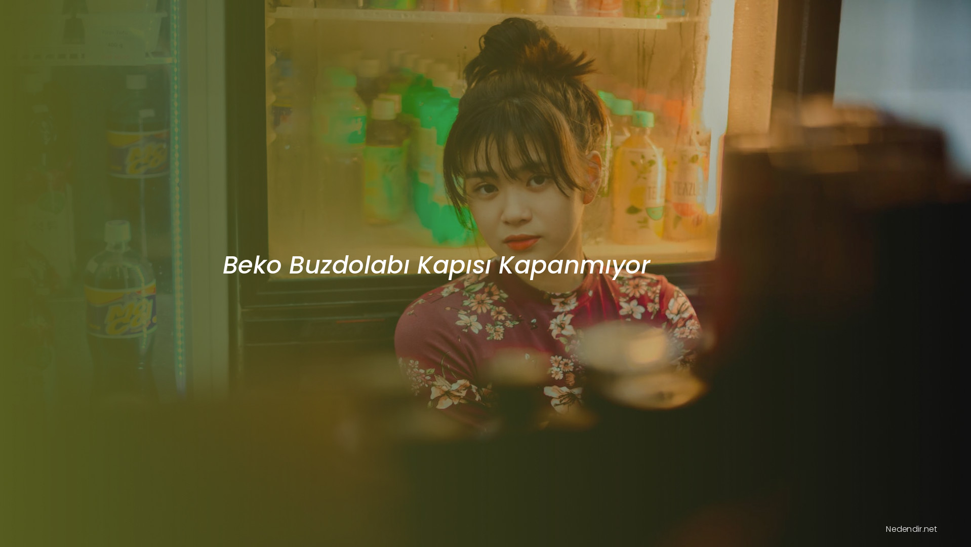 Beko Buzdolabı Kapısı Kapanmıyor