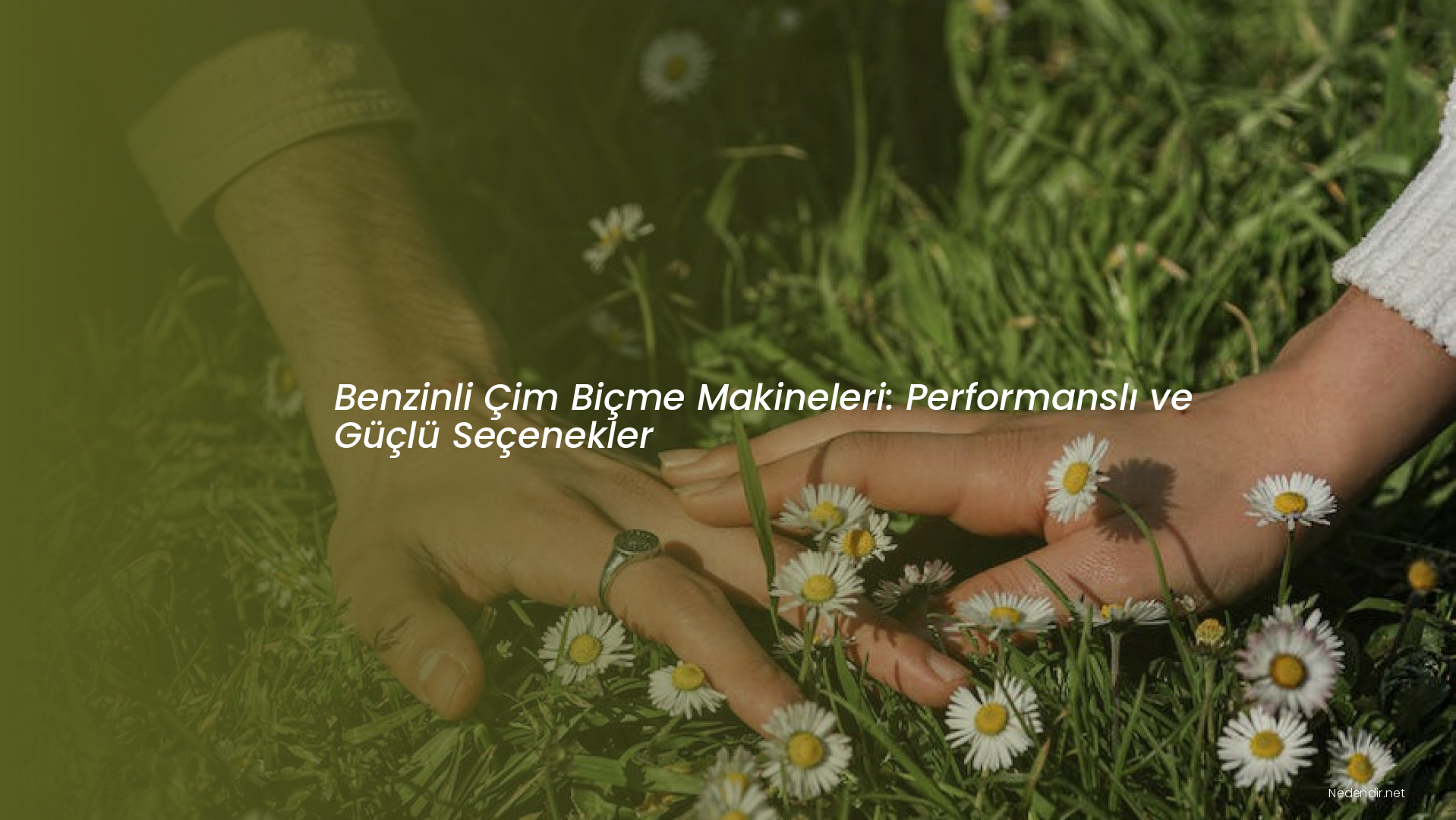 Benzinli Çim Biçme Makineleri: Performanslı ve Güçlü Seçenekler