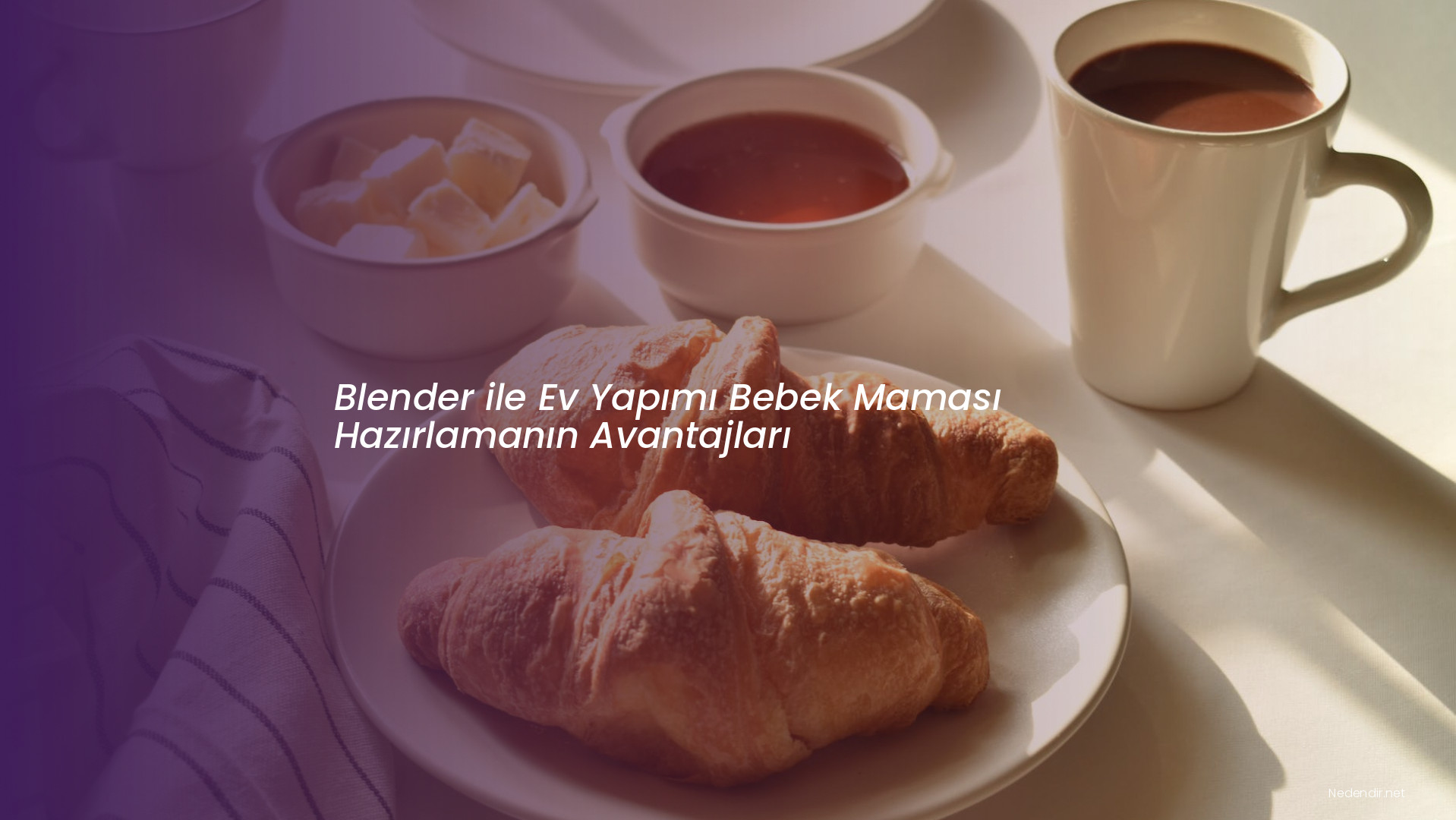 Blender ile Ev Yapımı Bebek Maması Hazırlamanın Avantajları