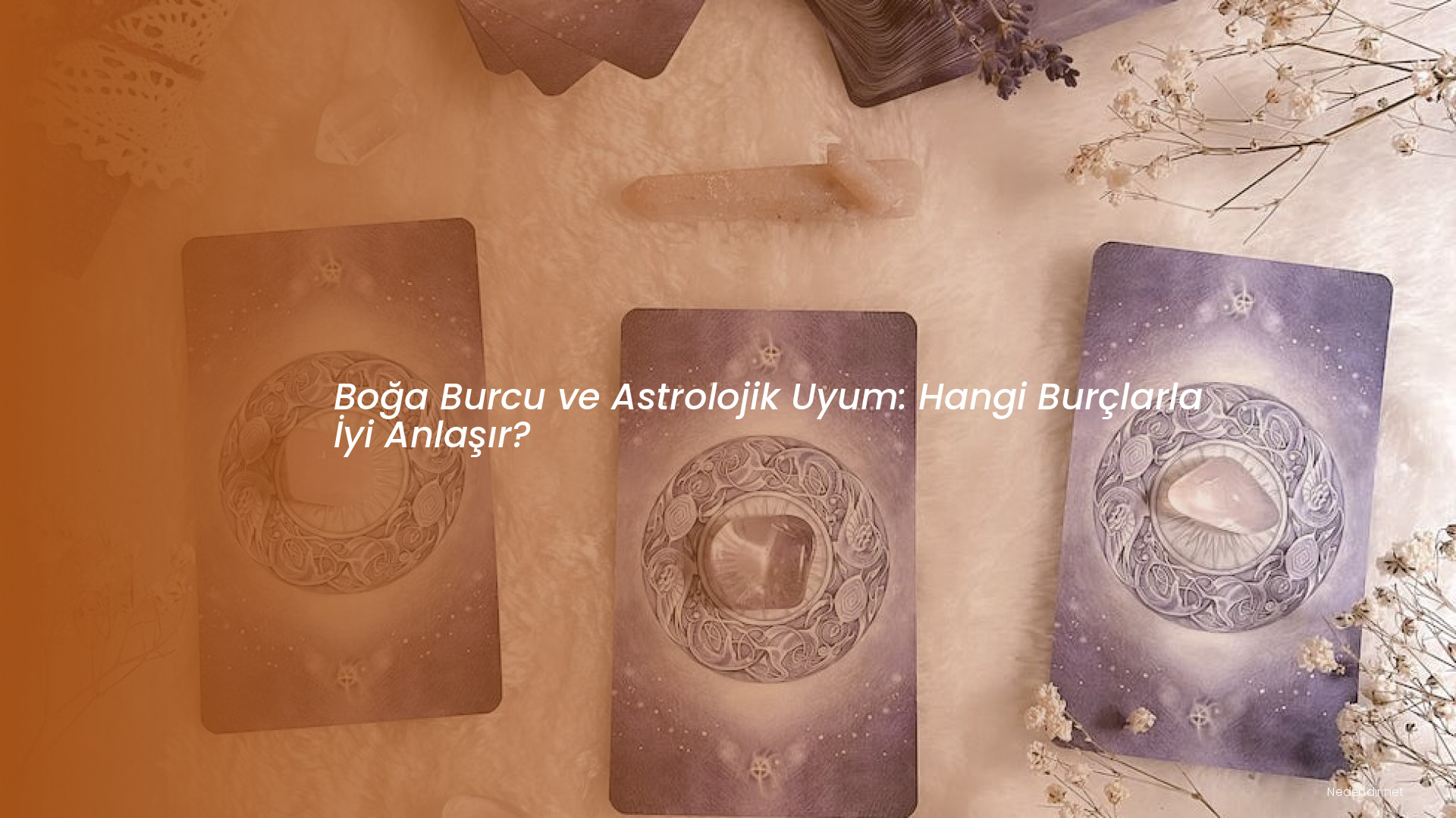 Boğa Burcu ve Astrolojik Uyum: Hangi Burçlarla İyi Anlaşır?
