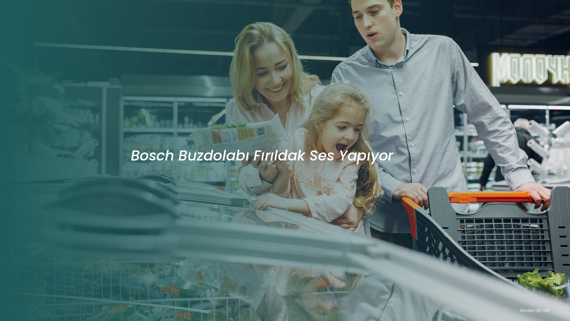 Bosch Buzdolabı Fırıldak Ses Yapıyor
