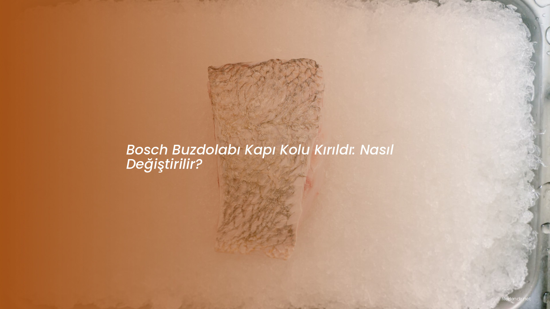 Bosch Buzdolabı Kapı Kolu Kırıldı: Nasıl Değiştirilir? Bosch Buzdolabı Kapı Kolu Kırıldı: Nasıl Değiştirilir?