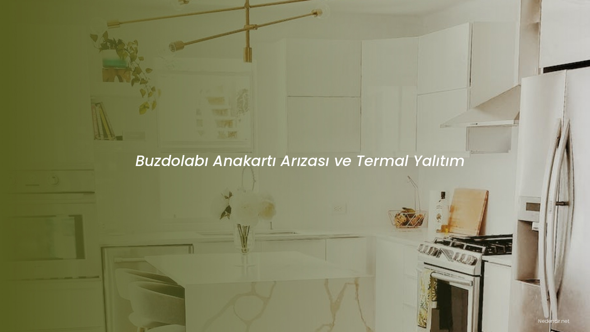 Buzdolabı Anakartı Arızası ve Termal Yalıtım