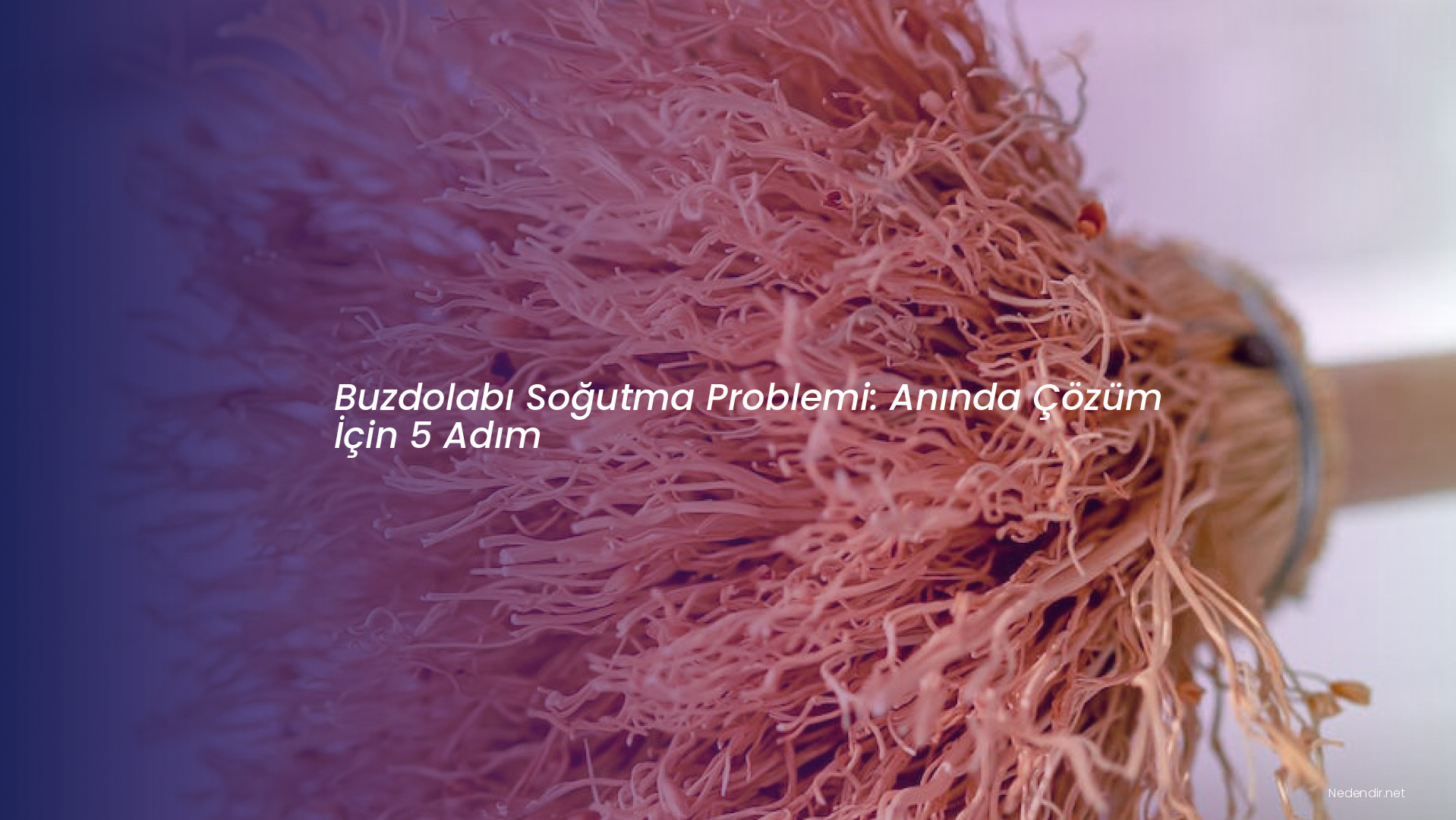 Buzdolabı Soğutma Problemi: Anında Çözüm İçin 5 Adım