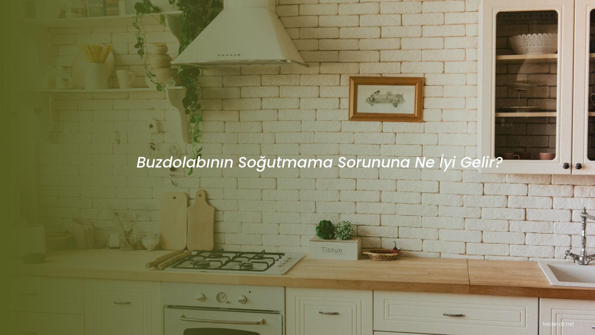Buzdolabının Soğutmama Sorununa Ne İyi Gelir?