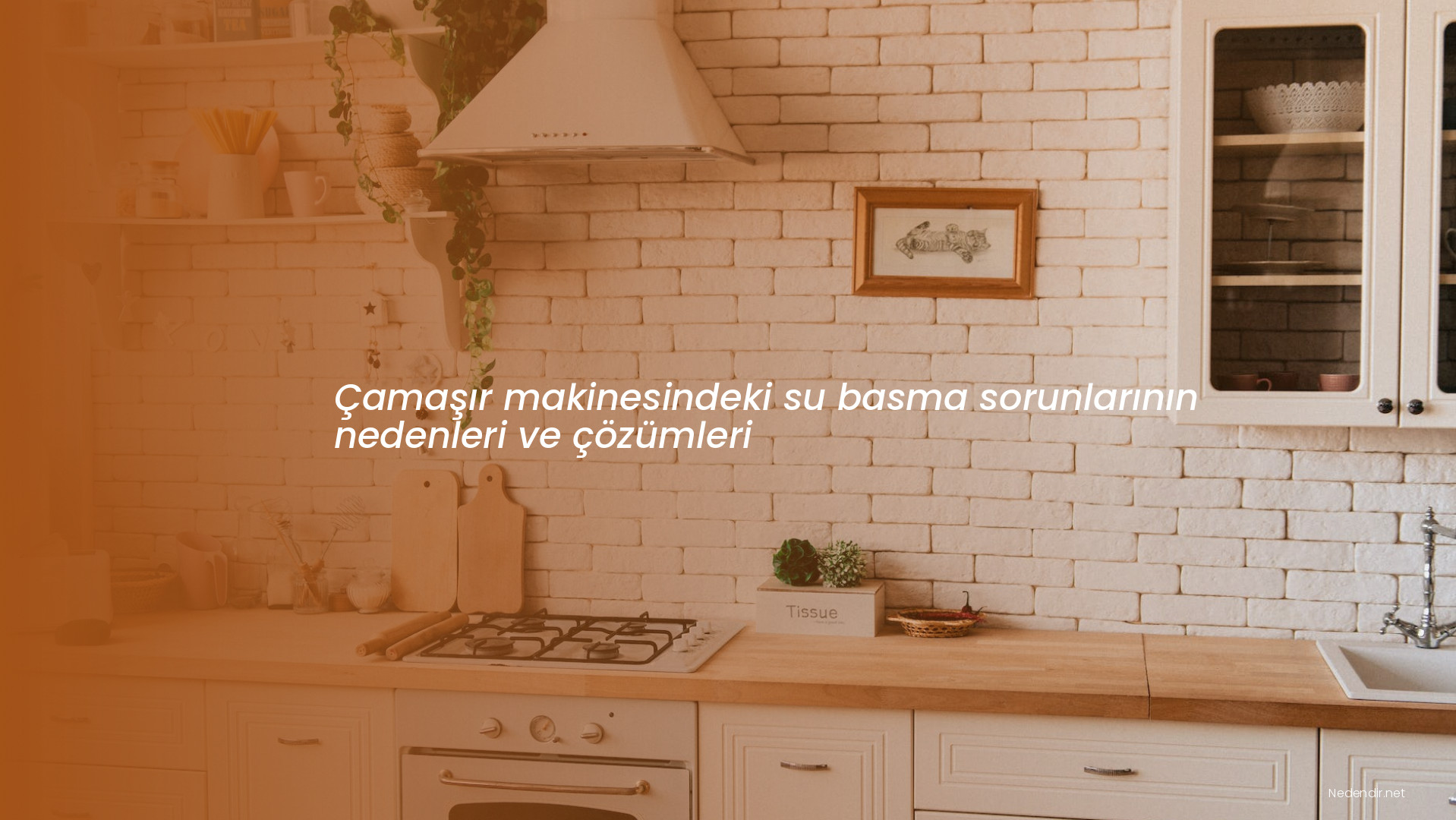 Çamaşır makinesindeki su basma sorunlarının nedenleri ve çözümleri