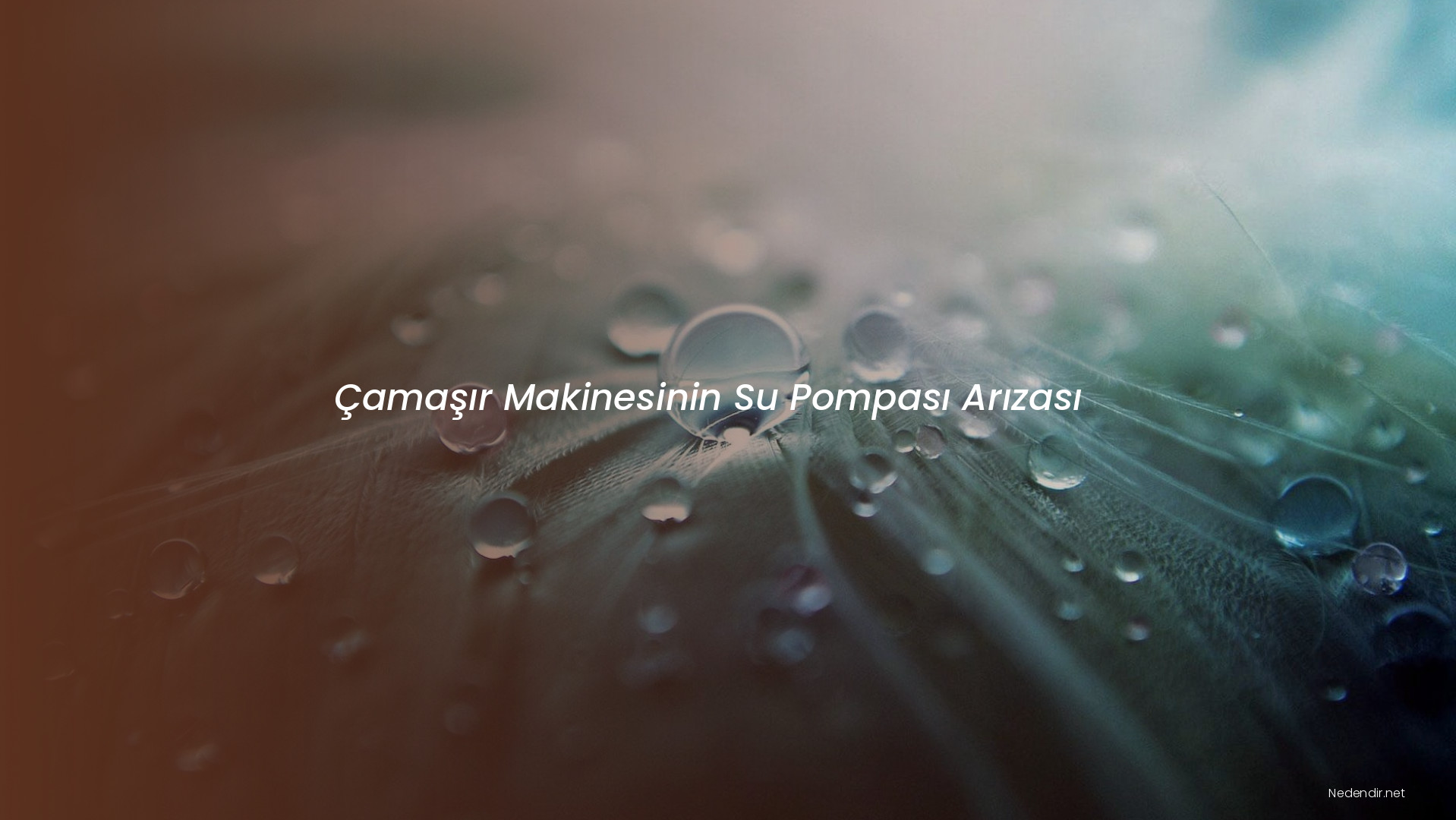 Çamaşır Makinesinin Su Pompası Arızası Çamaşır Makinesinin Su Pompası Arızası