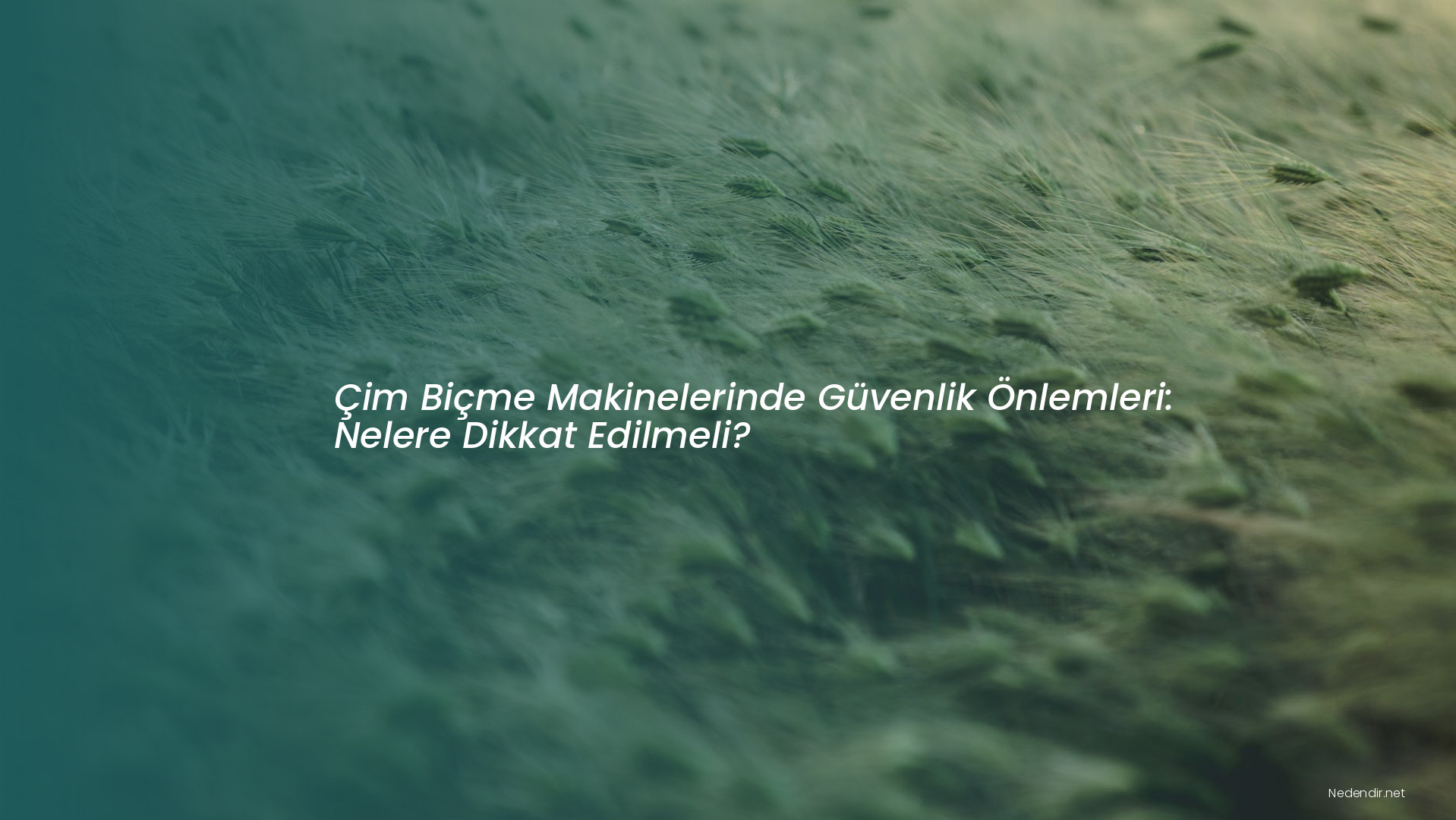 Çim Biçme Makinelerinde Güvenlik Önlemleri: Nelere Dikkat Edilmeli?