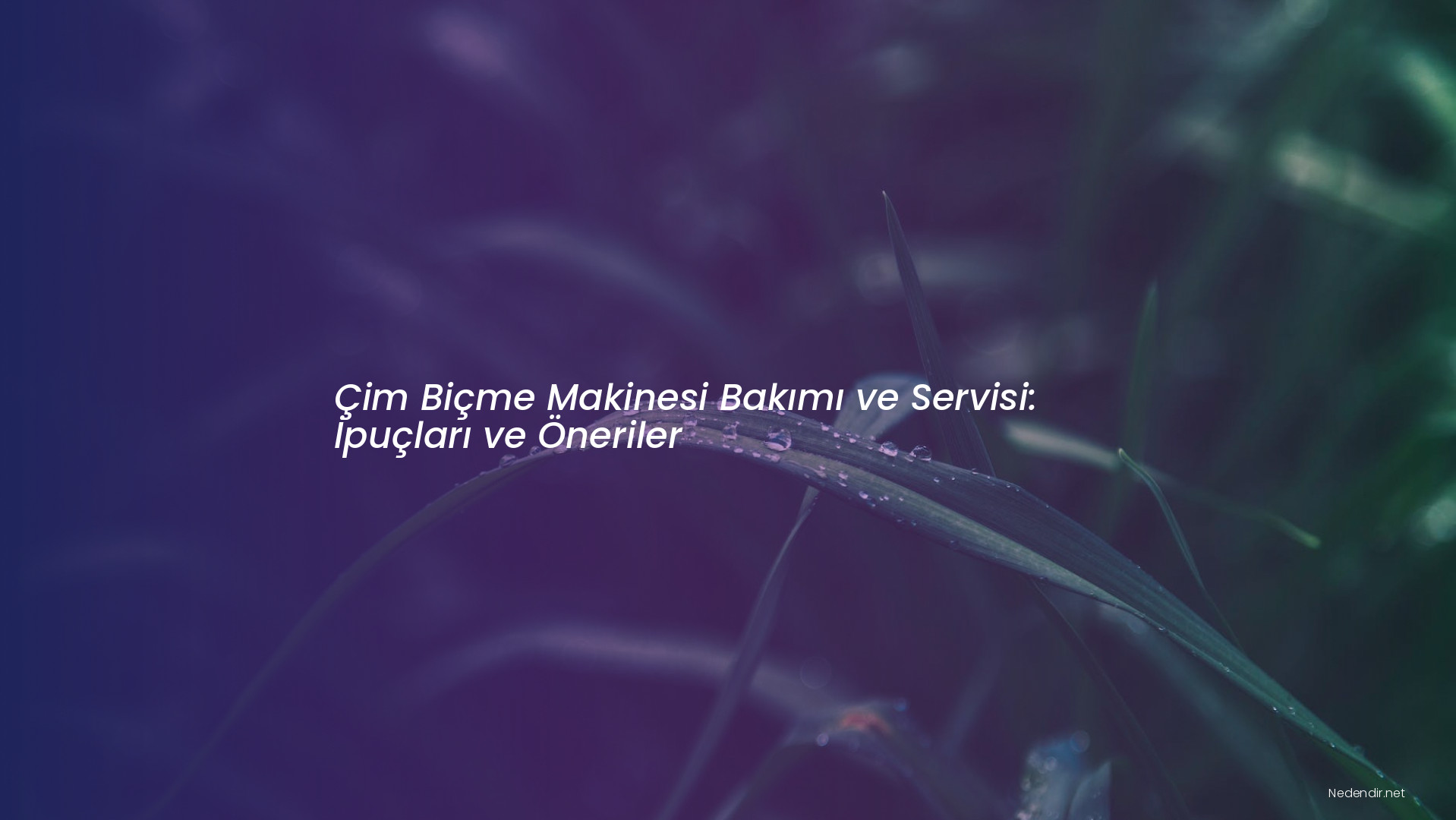 Çim Biçme Makinesi Bakımı ve Servisi: İpuçları ve Öneriler