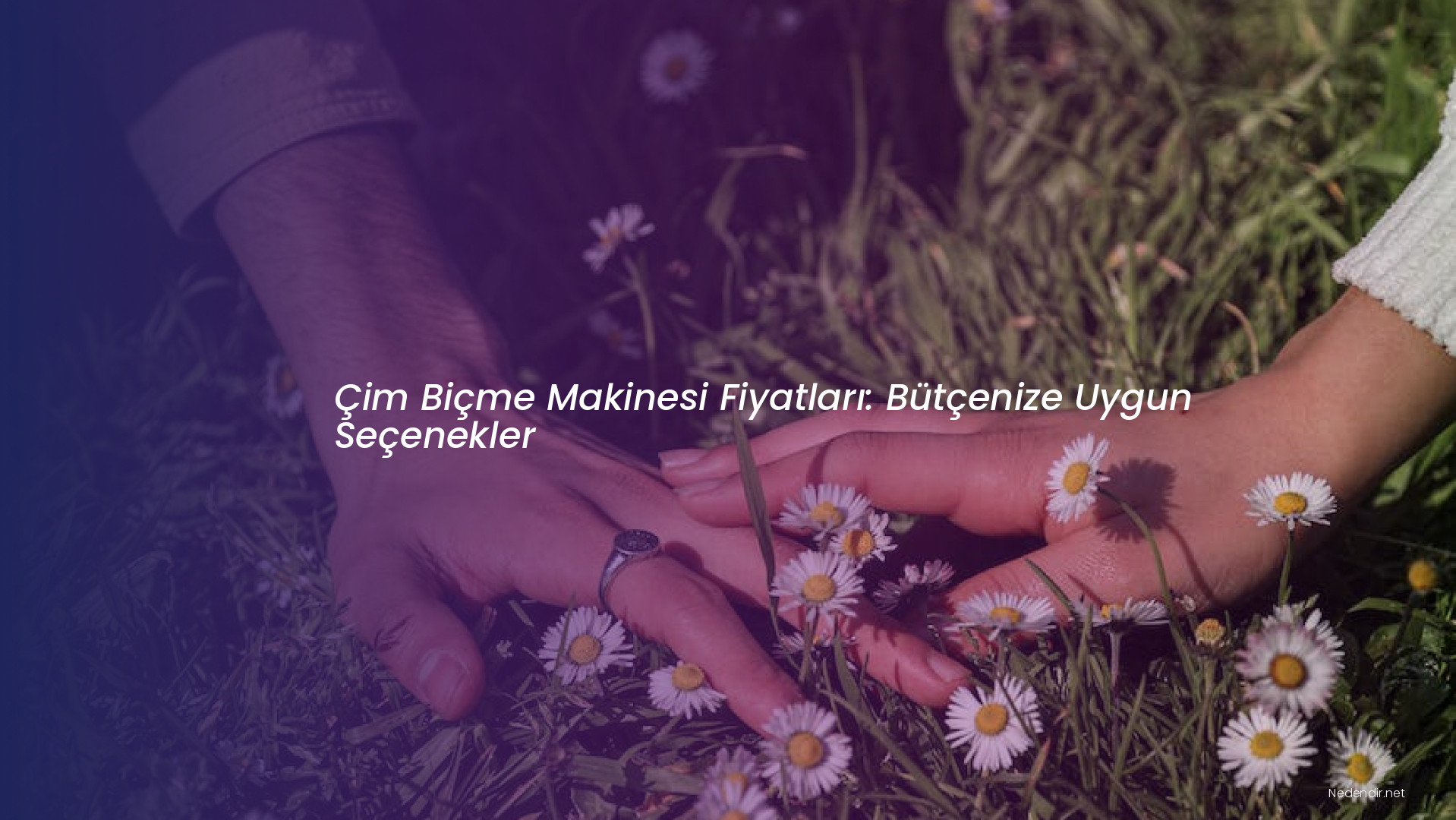 Çim Biçme Makinesi Fiyatları: Bütçenize Uygun Seçenekler