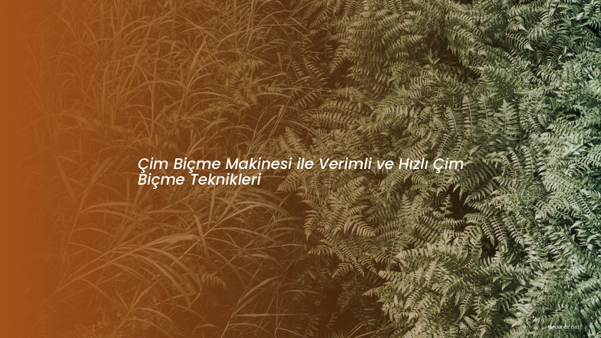 Çim Biçme Makinesi ile Verimli ve Hızlı Çim Biçme Teknikleri