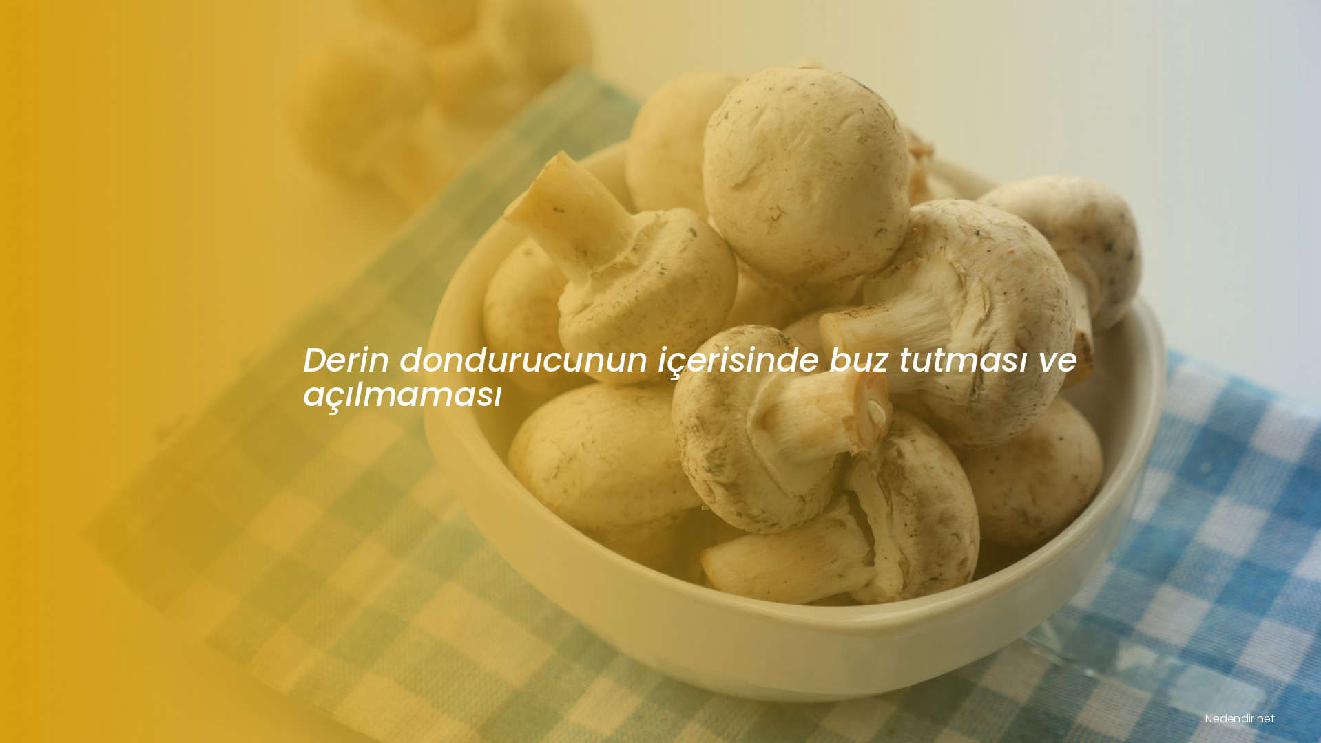 Derin dondurucunun içerisinde buz tutması ve açılmaması