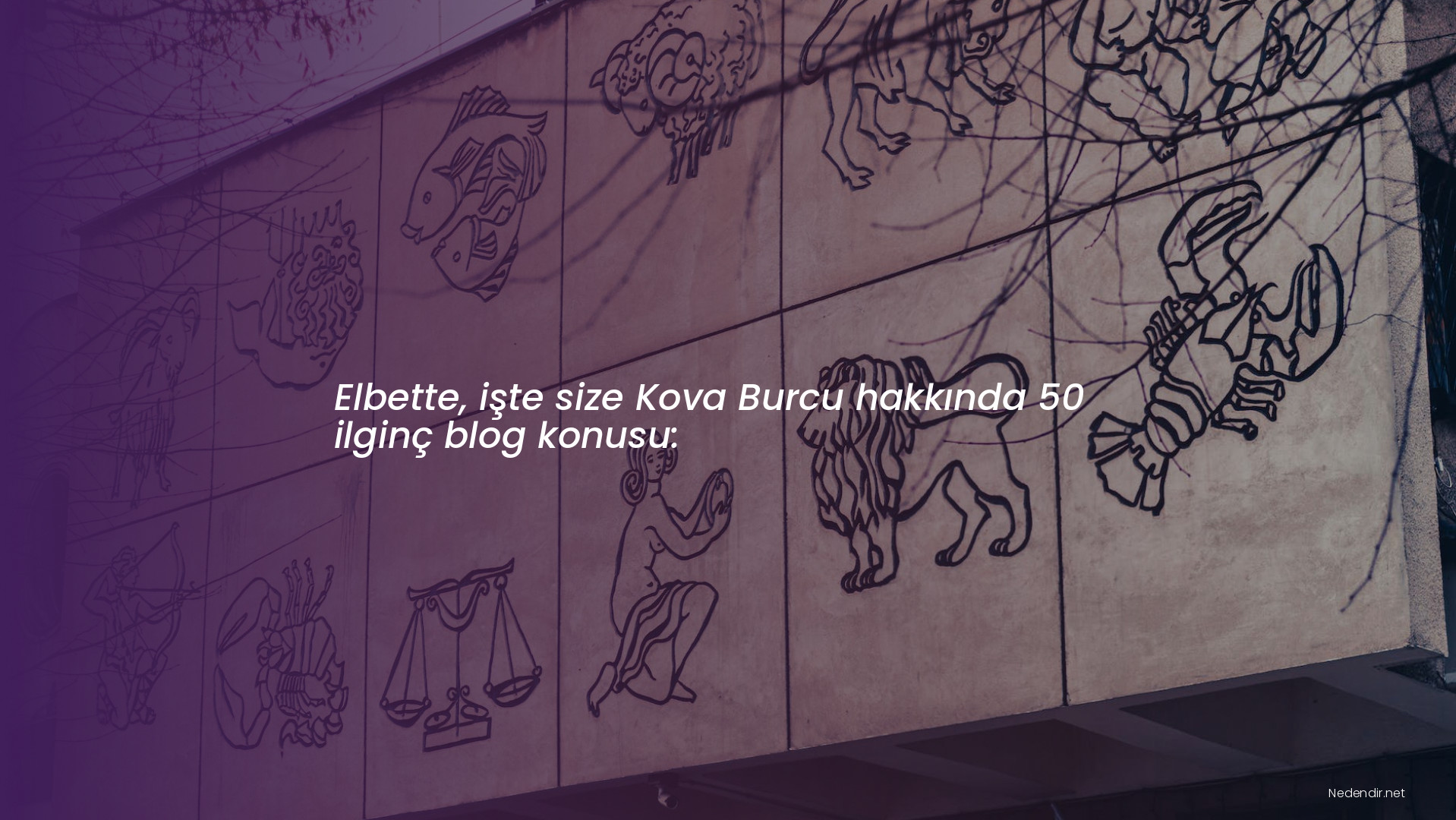 Elbette, işte size Kova Burcu hakkında 50 ilginç blog konusu: Elbette, işte size Kova Burcu hakkında 50 ilginç blog konusu: