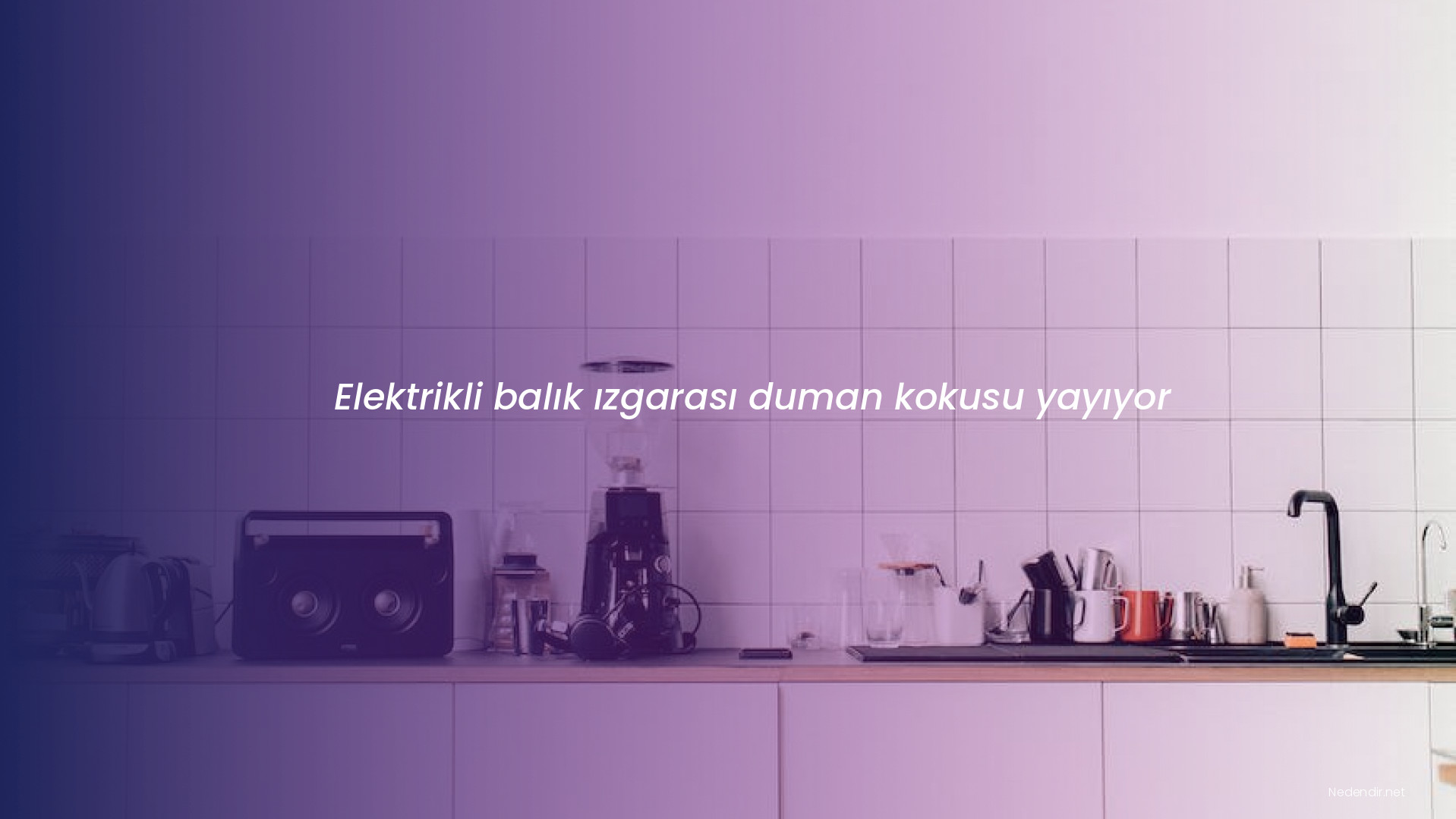 Elektrikli balık ızgarası duman kokusu yayıyor