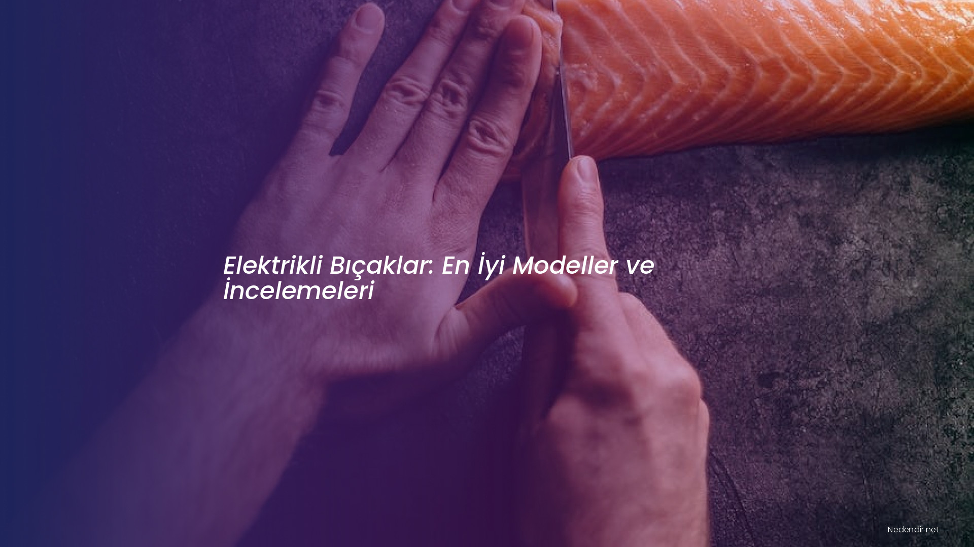 Elektrikli Bıçaklar: En İyi Modeller ve İncelemeleri