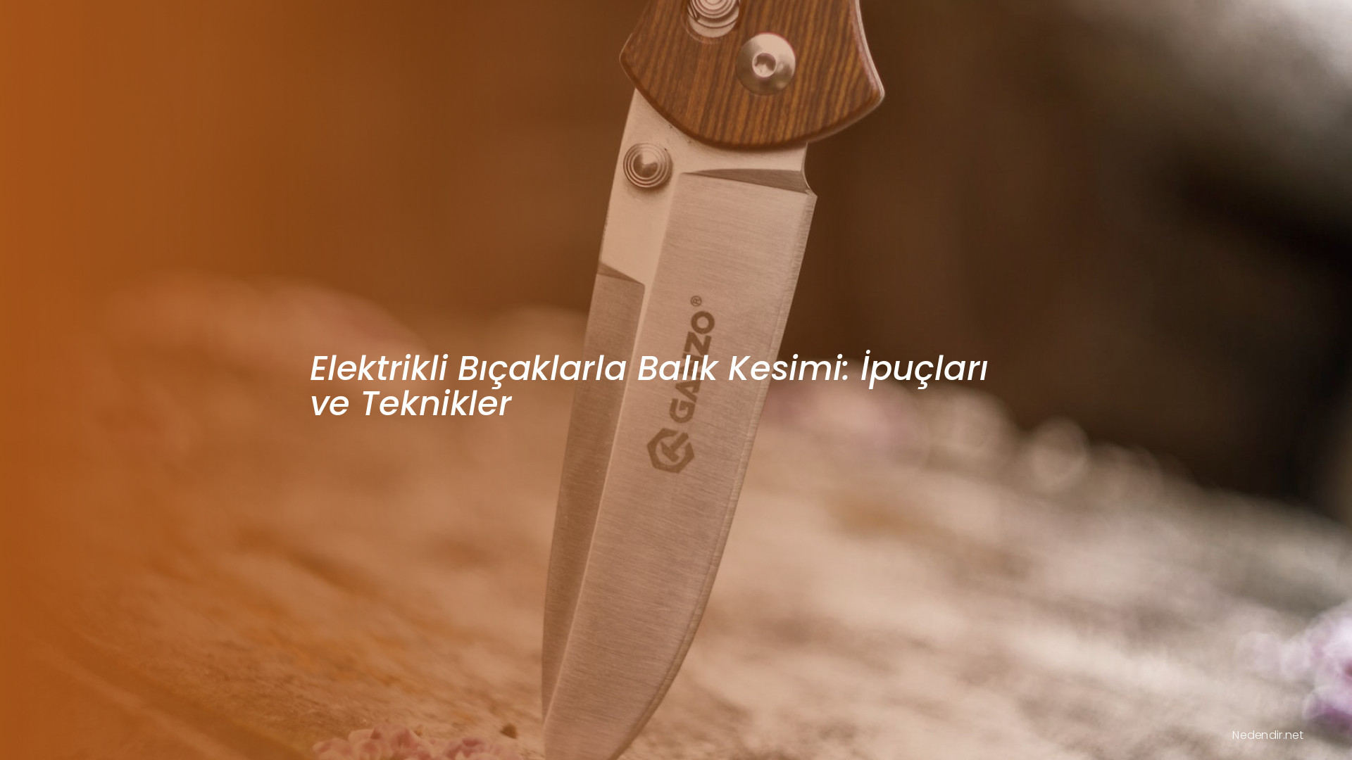 Elektrikli Bıçaklarla Balık Kesimi: İpuçları ve Teknikler