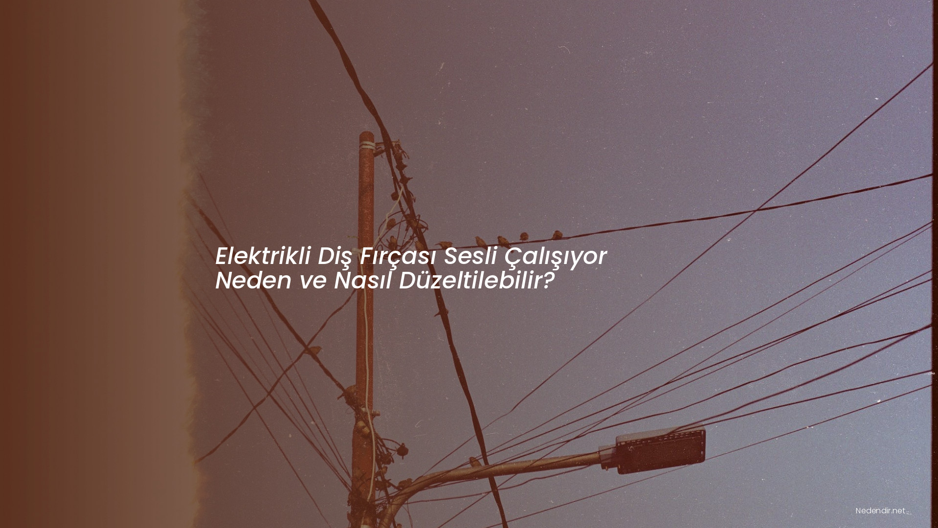 Elektrikli Diş Fırçası Sesli Çalışıyor Neden ve Nasıl Düzeltilebilir?