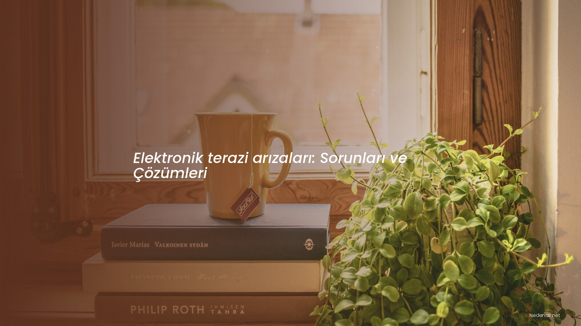 Elektronik terazi arızaları: Sorunları ve Çözümleri