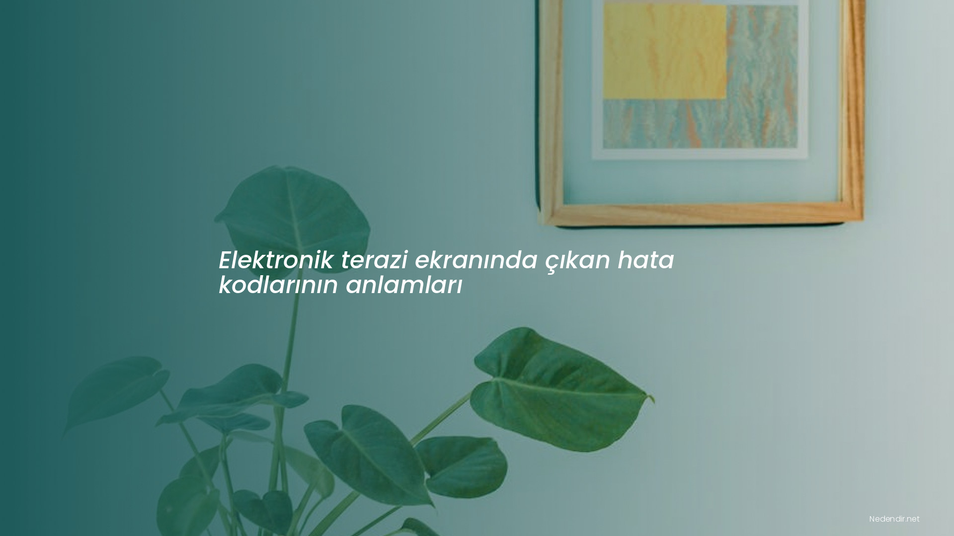 Elektronik terazi ekranında çıkan hata kodlarının anlamları