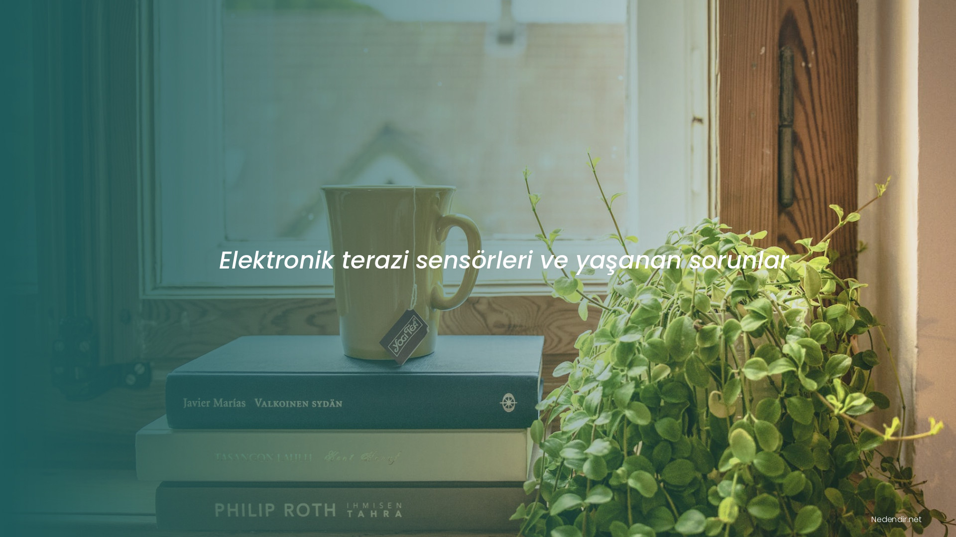 Elektronik terazi sensörleri ve yaşanan sorunlar