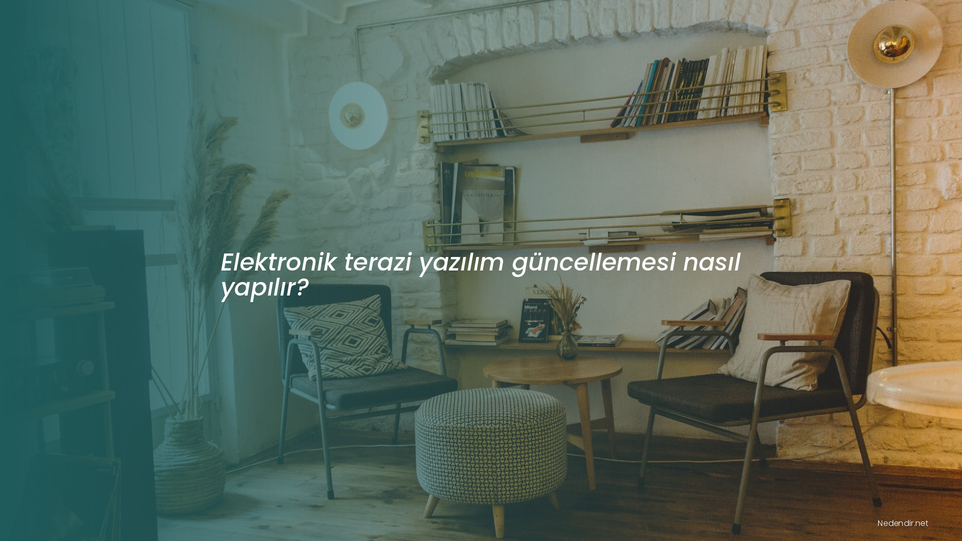 Elektronik terazi yazılım güncellemesi nasıl yapılır?