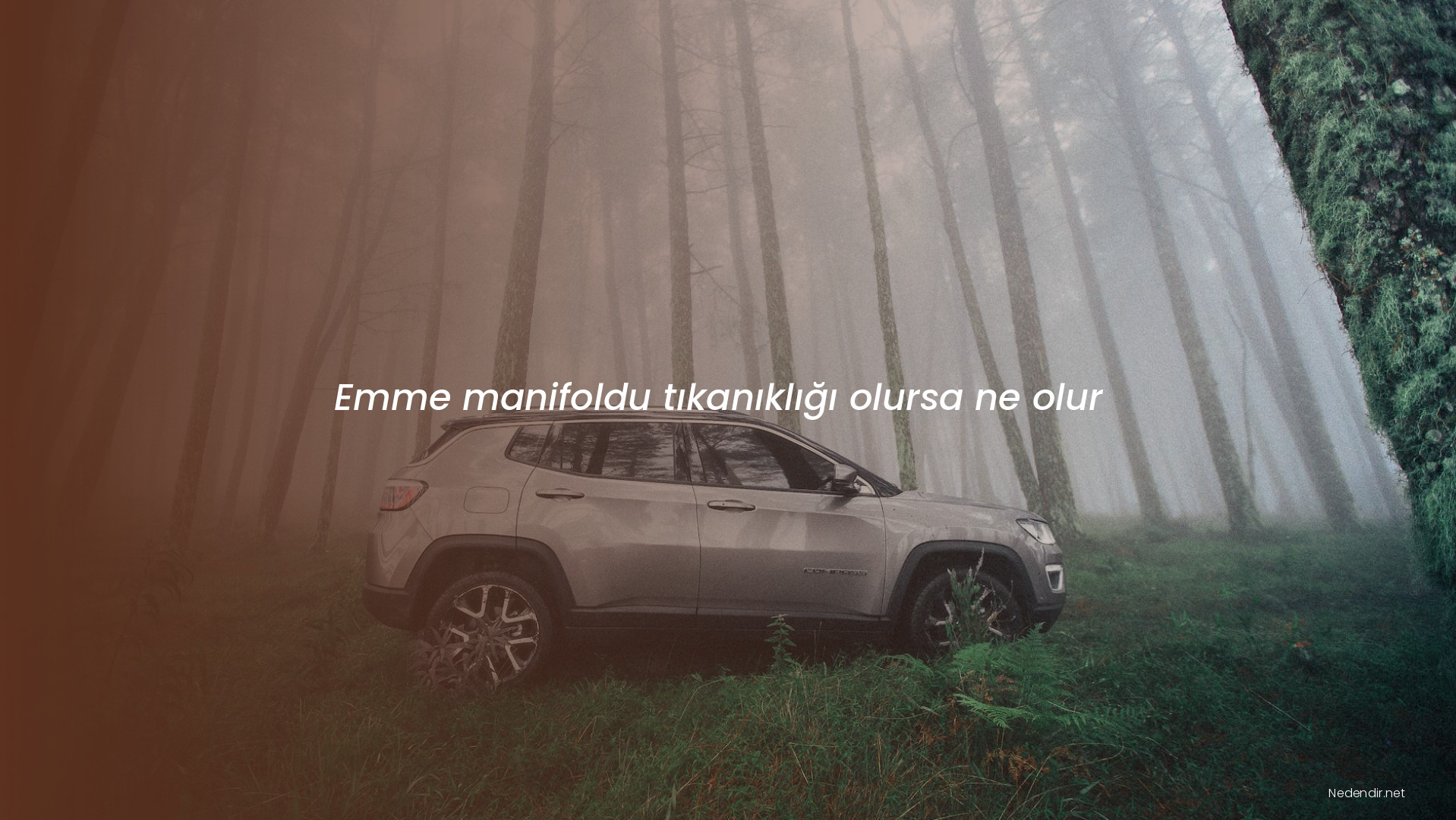 Emme manifoldu tıkanıklığı olursa ne olur