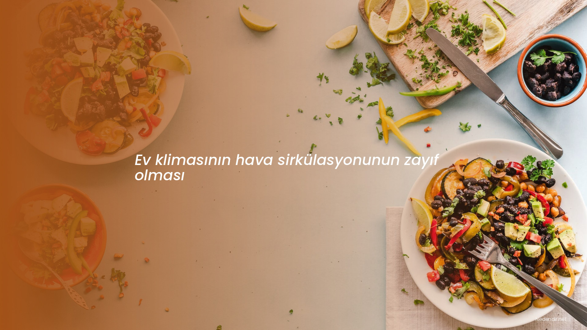 Ev klimasının hava sirkülasyonunun zayıf olması