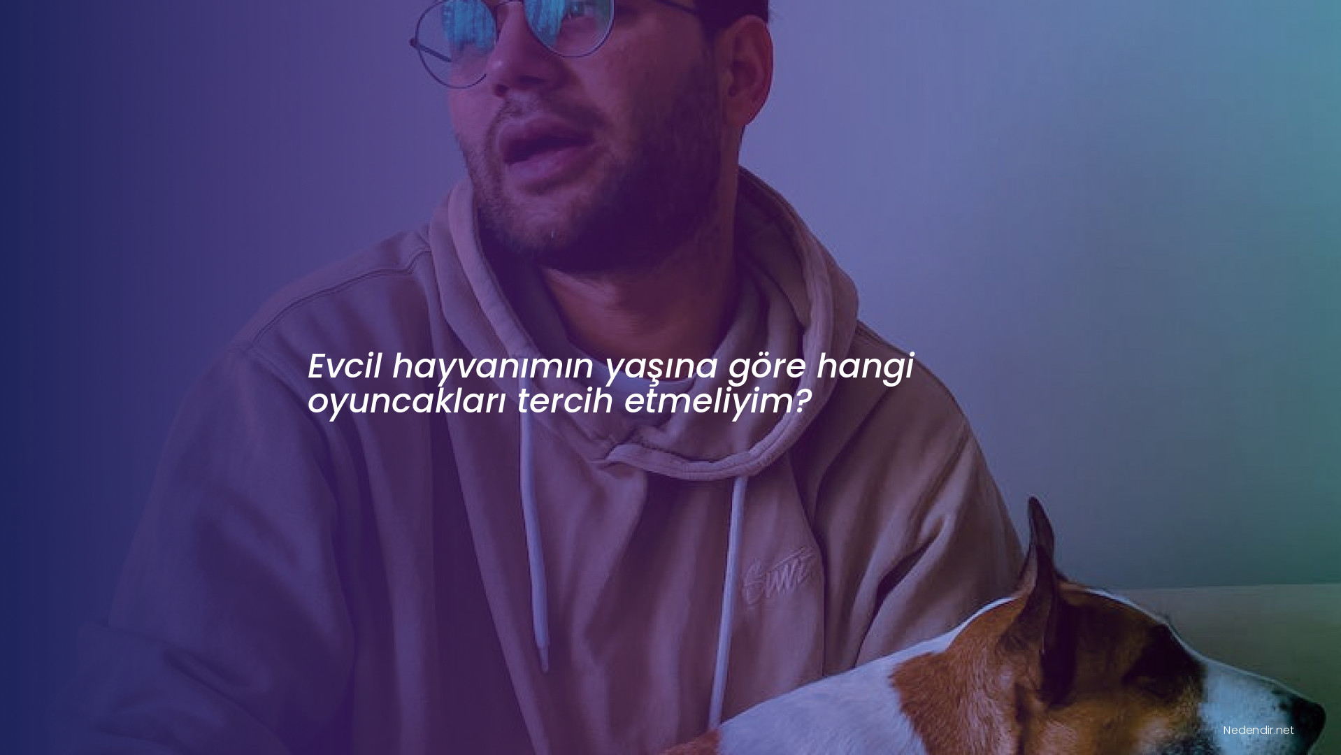 Evcil hayvanımın yaşına göre hangi oyuncakları tercih etmeliyim? Evcil hayvanımın yaşına göre hangi oyuncakları tercih etmeliyim?
