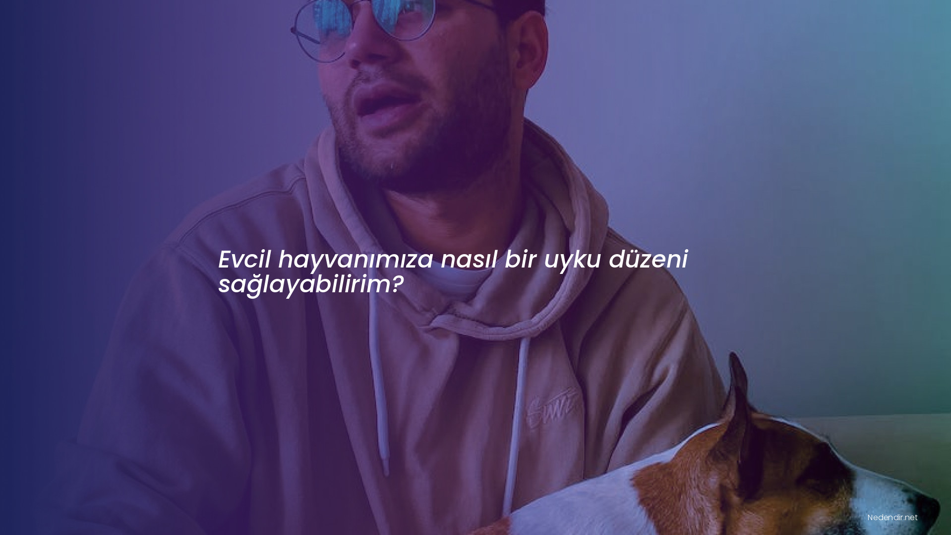 Evcil hayvanımıza nasıl bir uyku düzeni sağlayabilirim?
