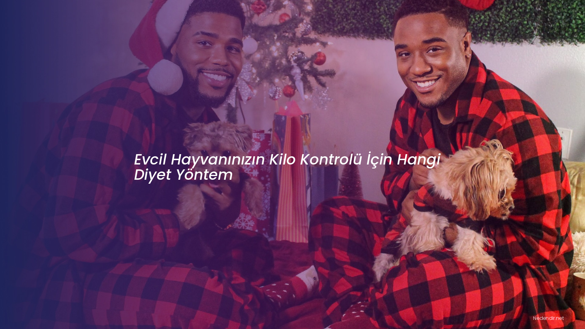 Evcil Hayvanınızın Kilo Kontrolü İçin Hangi Diyet Yöntem